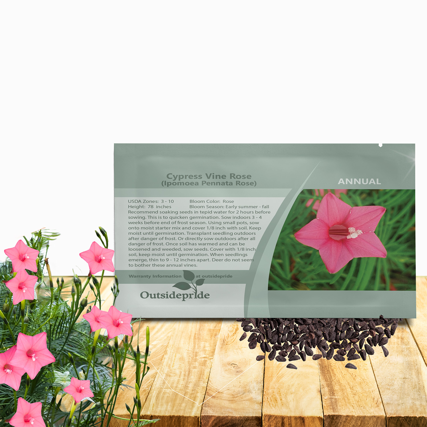 Cypress Vine Rose Seed Packet