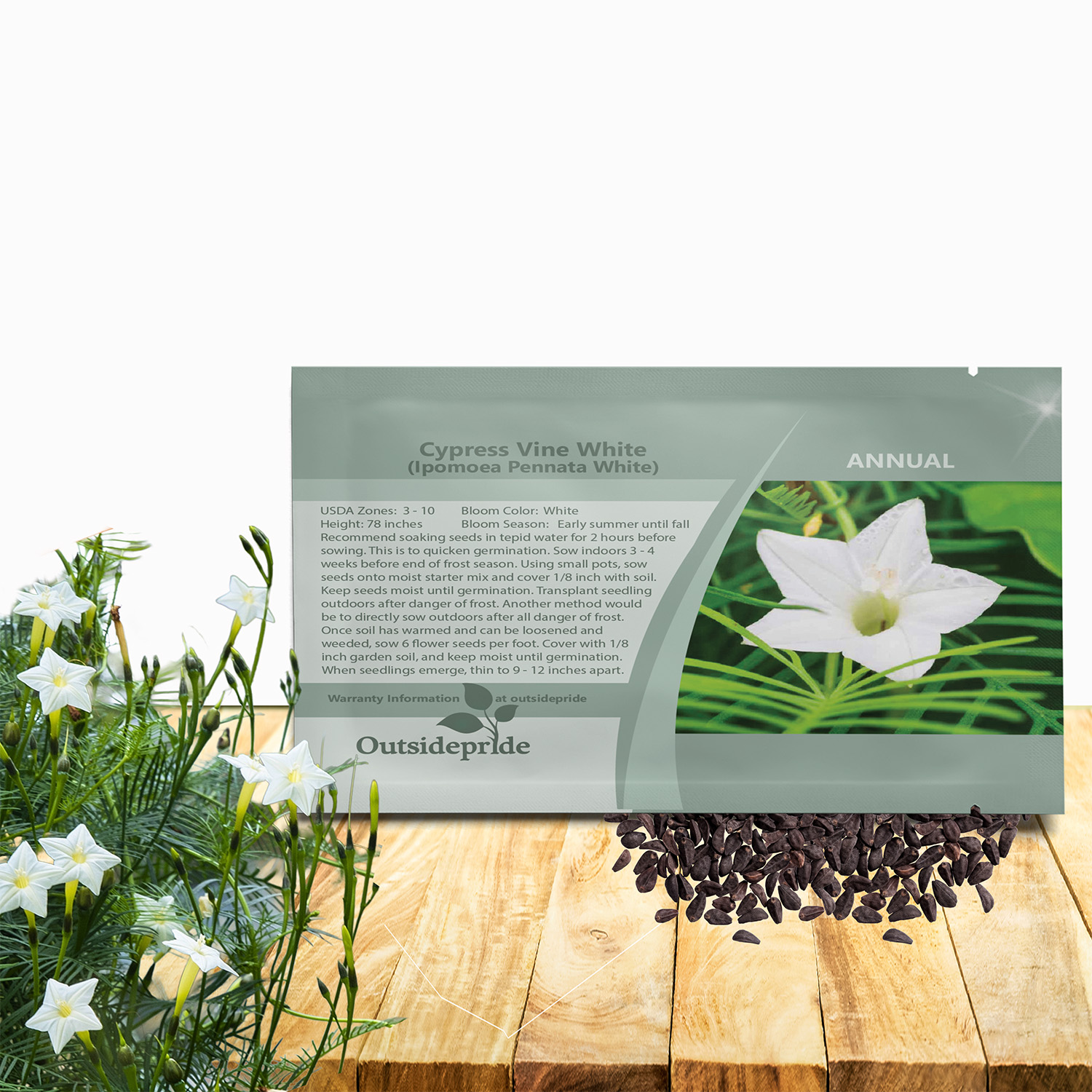 Cypress Vine White Seed Packet For Planting