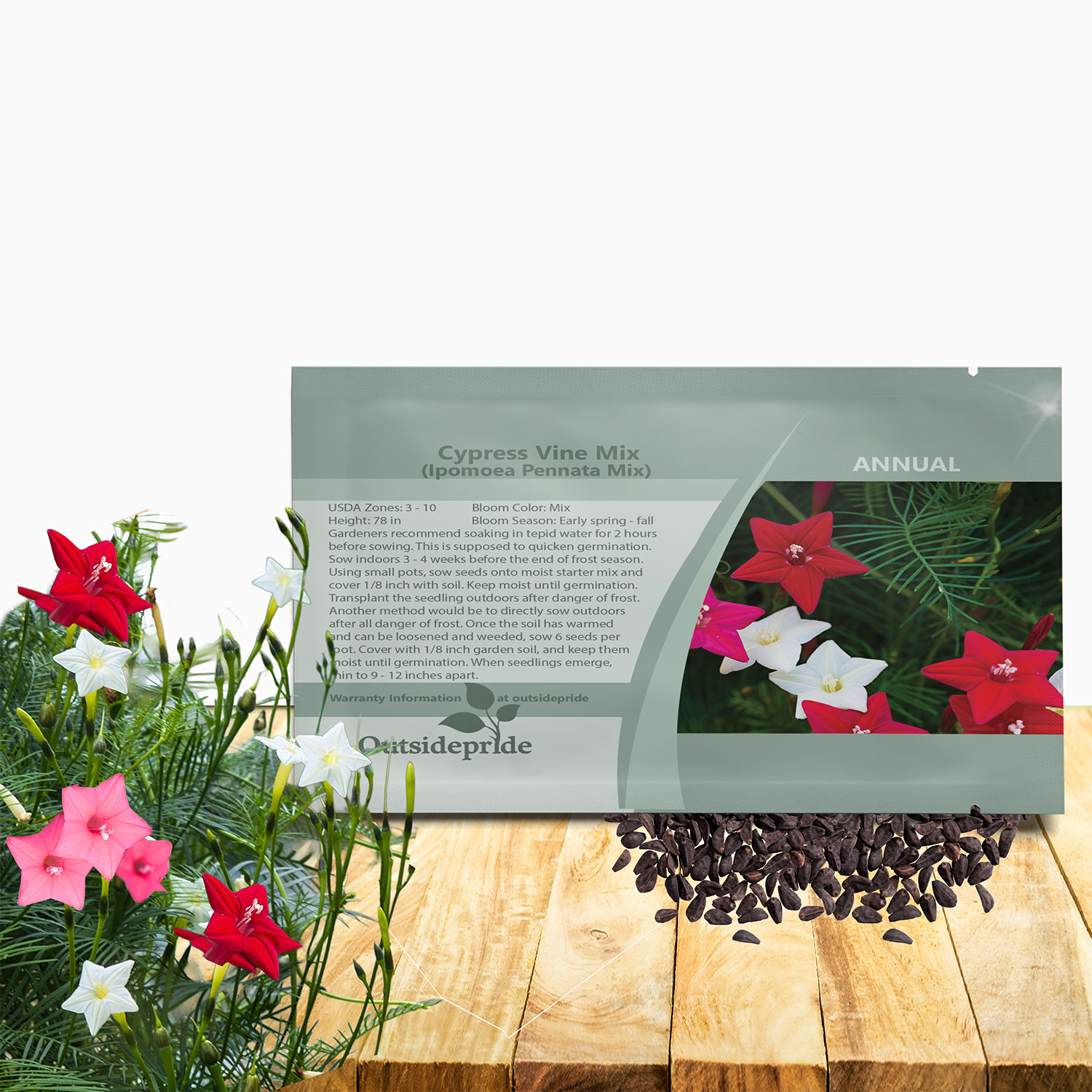 Cypress Vine Seed Packet Mix For Planting