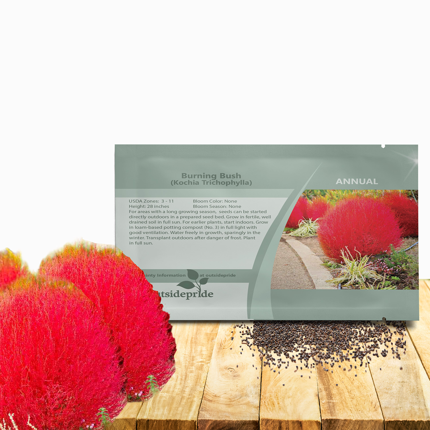 Burning Bush Flower Seed Packet