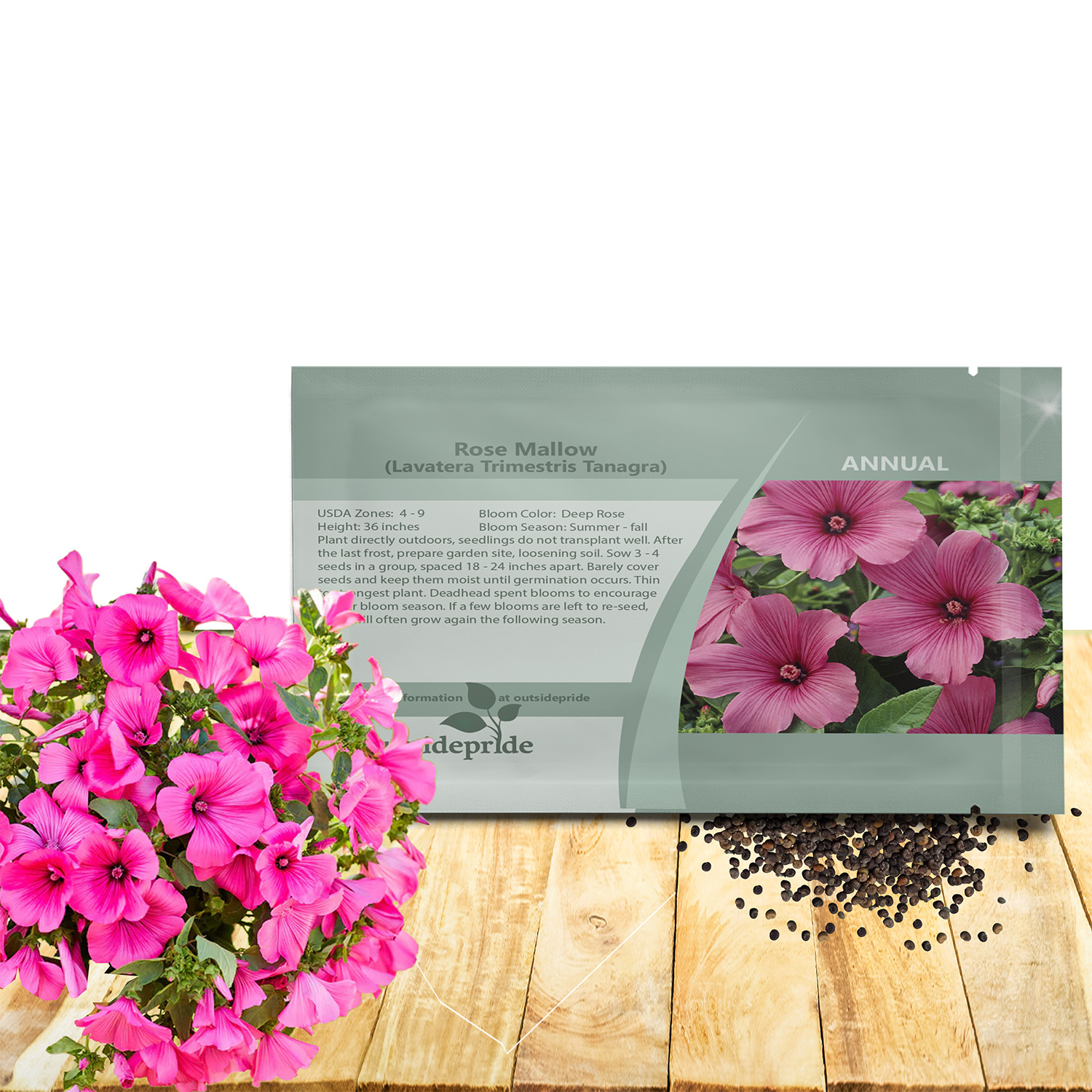 Rose Mallow Tanagra Flower Seed Packet For Planting