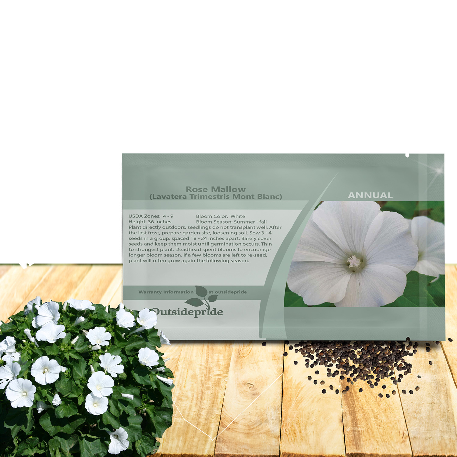 Rose Mallow Blanc Flower Seed Packet