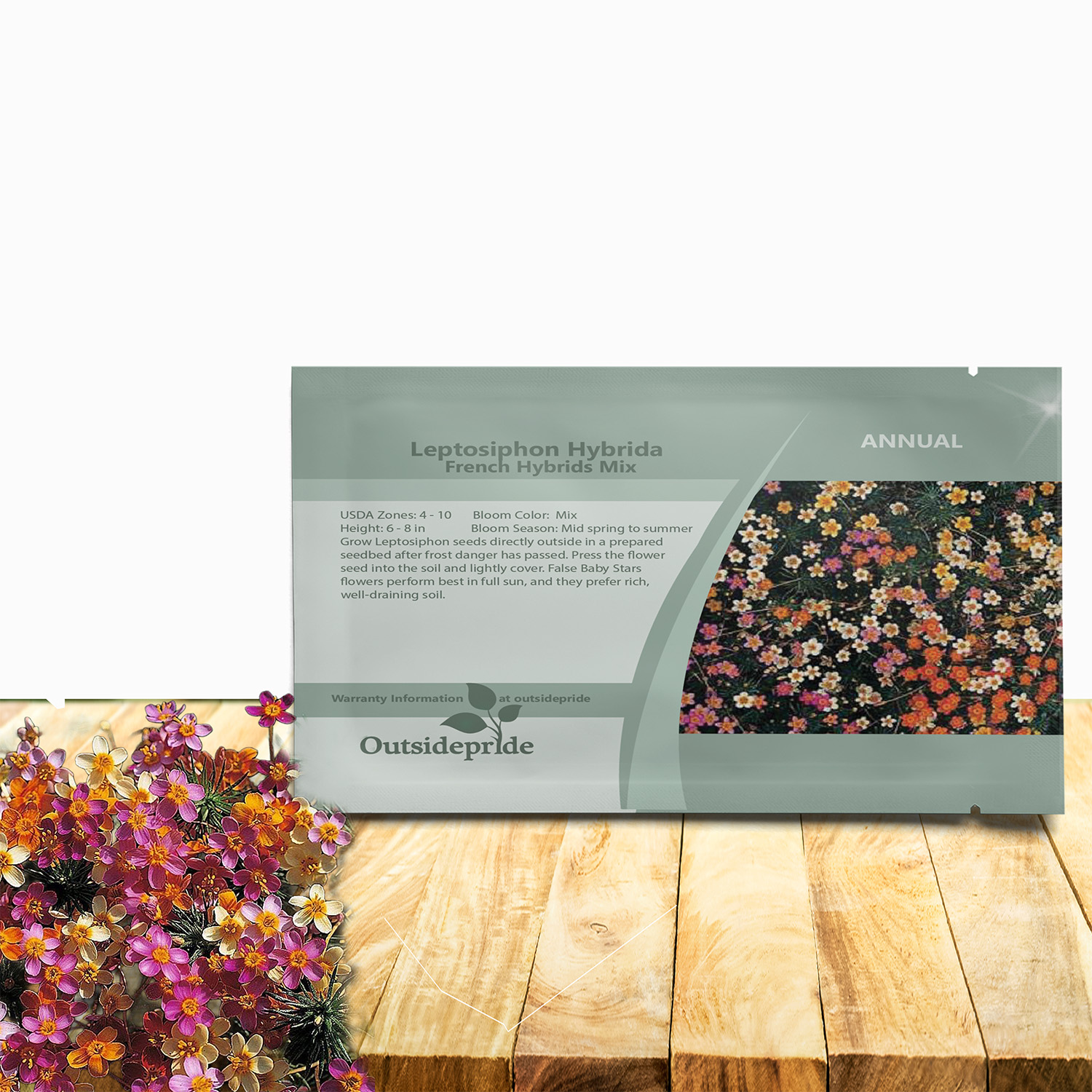 Leptosiphon Ground Cover Seed For Planting