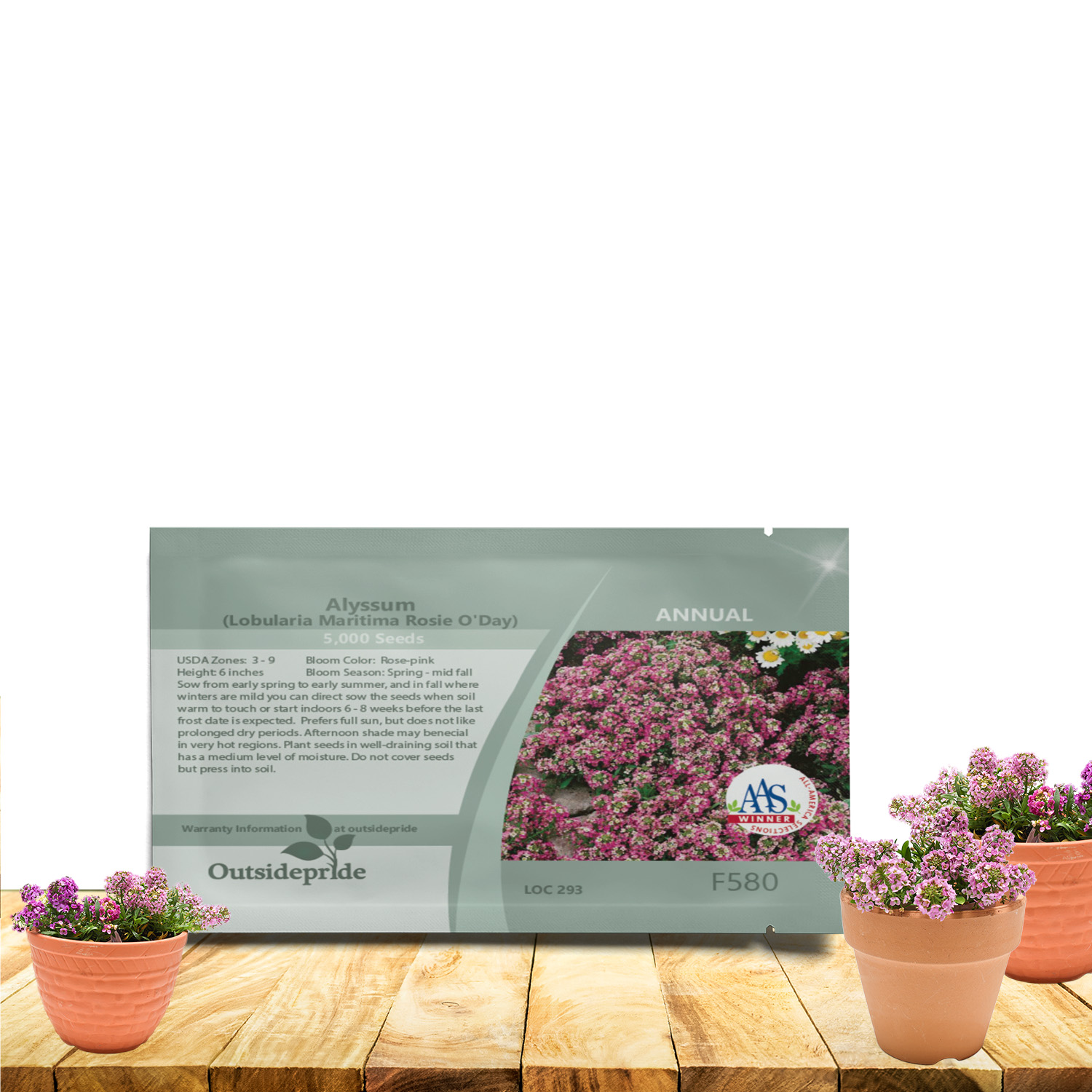 Alyssum Rosie O'Day Seed Packet