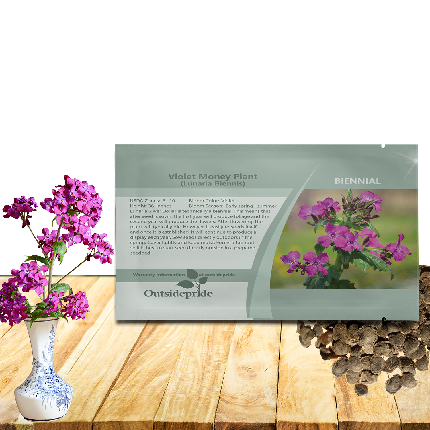Violet Money Plant Seeds For Planting