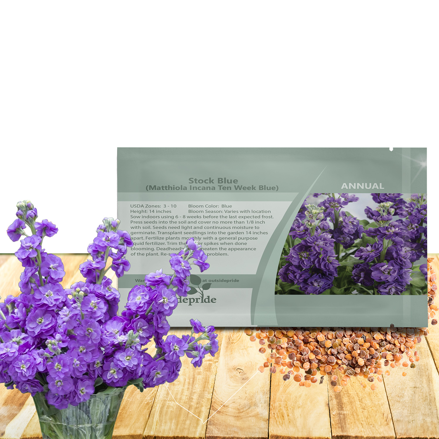 Stock Blue Flower Seeds For Planting