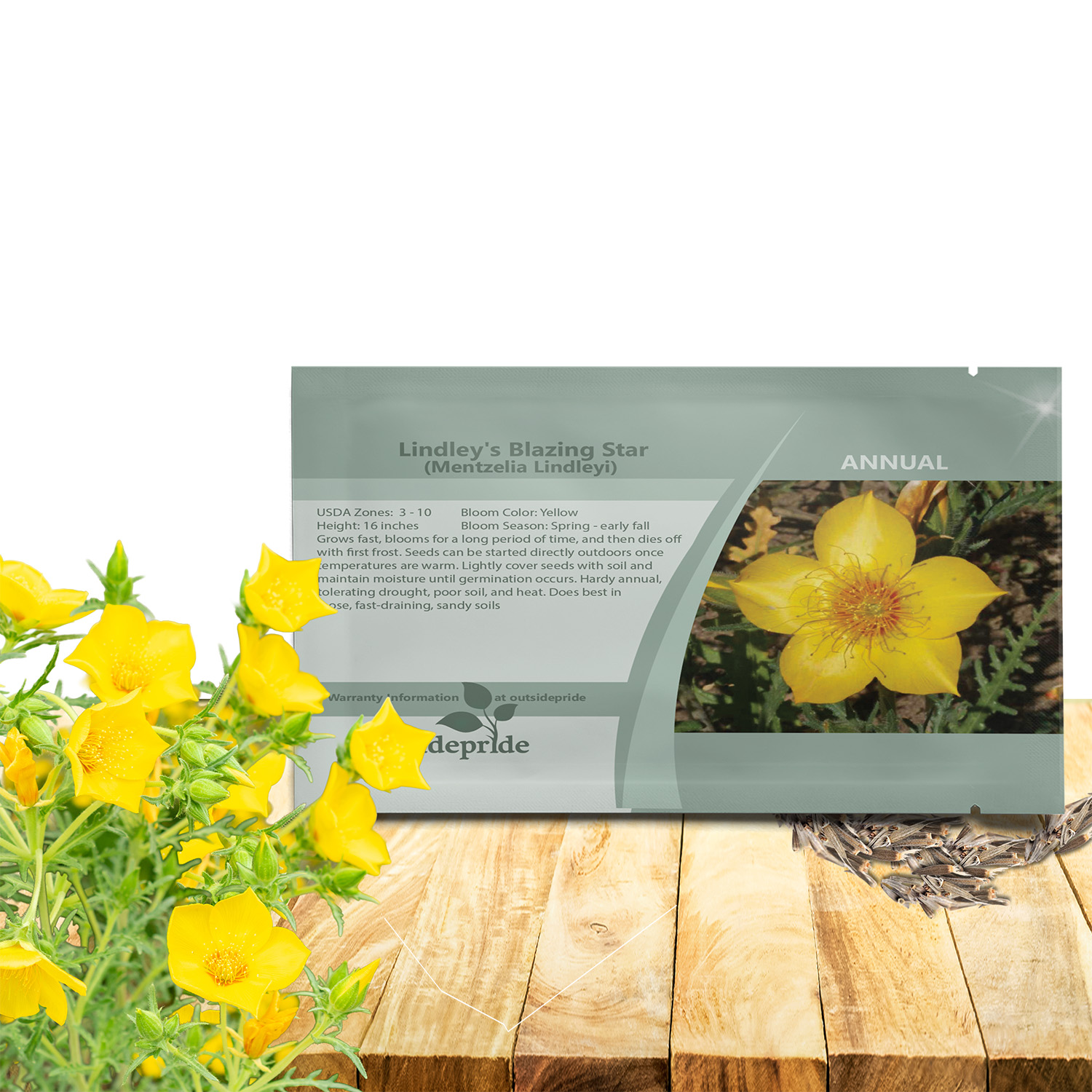 Blazing Star Flower Seed Packet For Planting