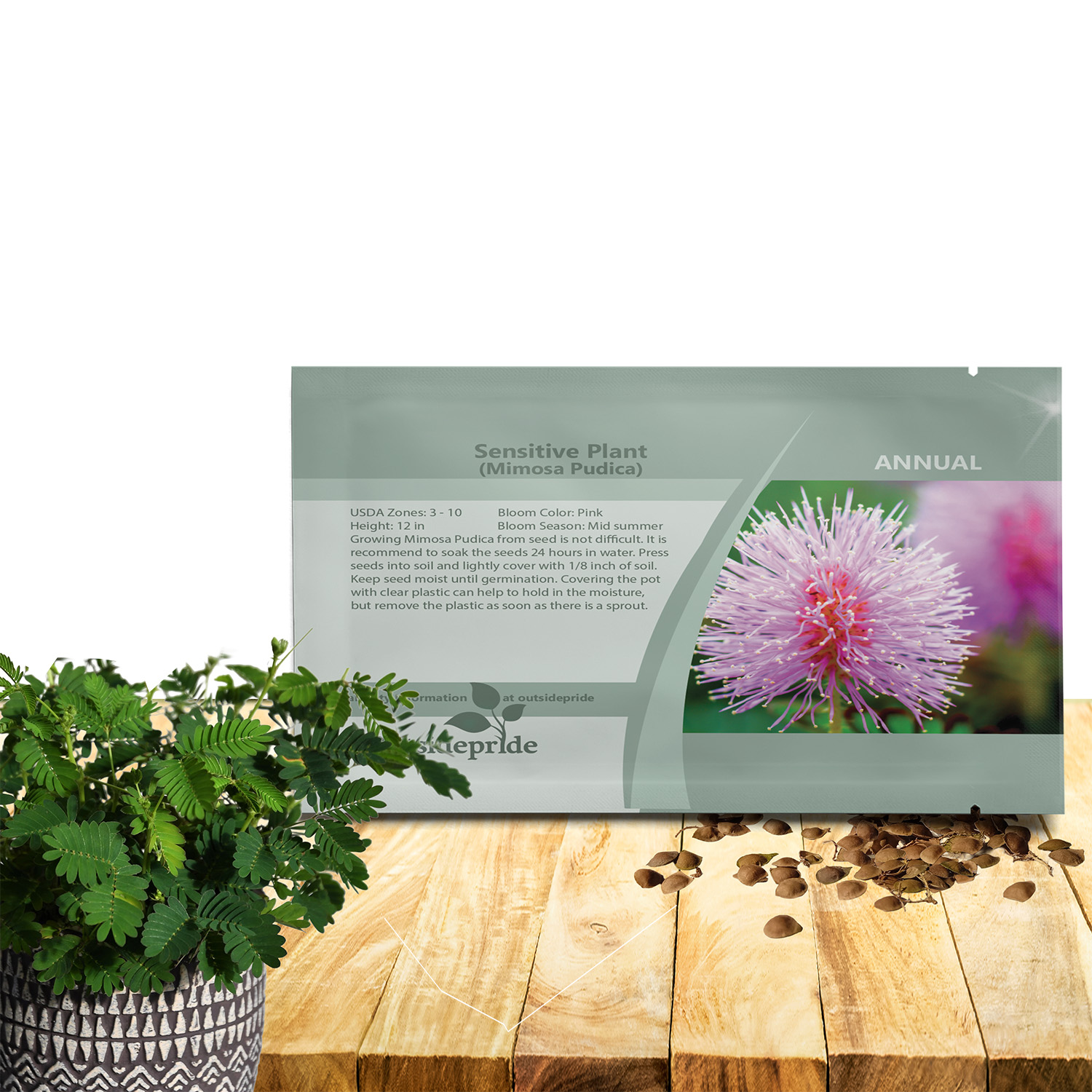 Mimosa Sensitive Plant seed Packet