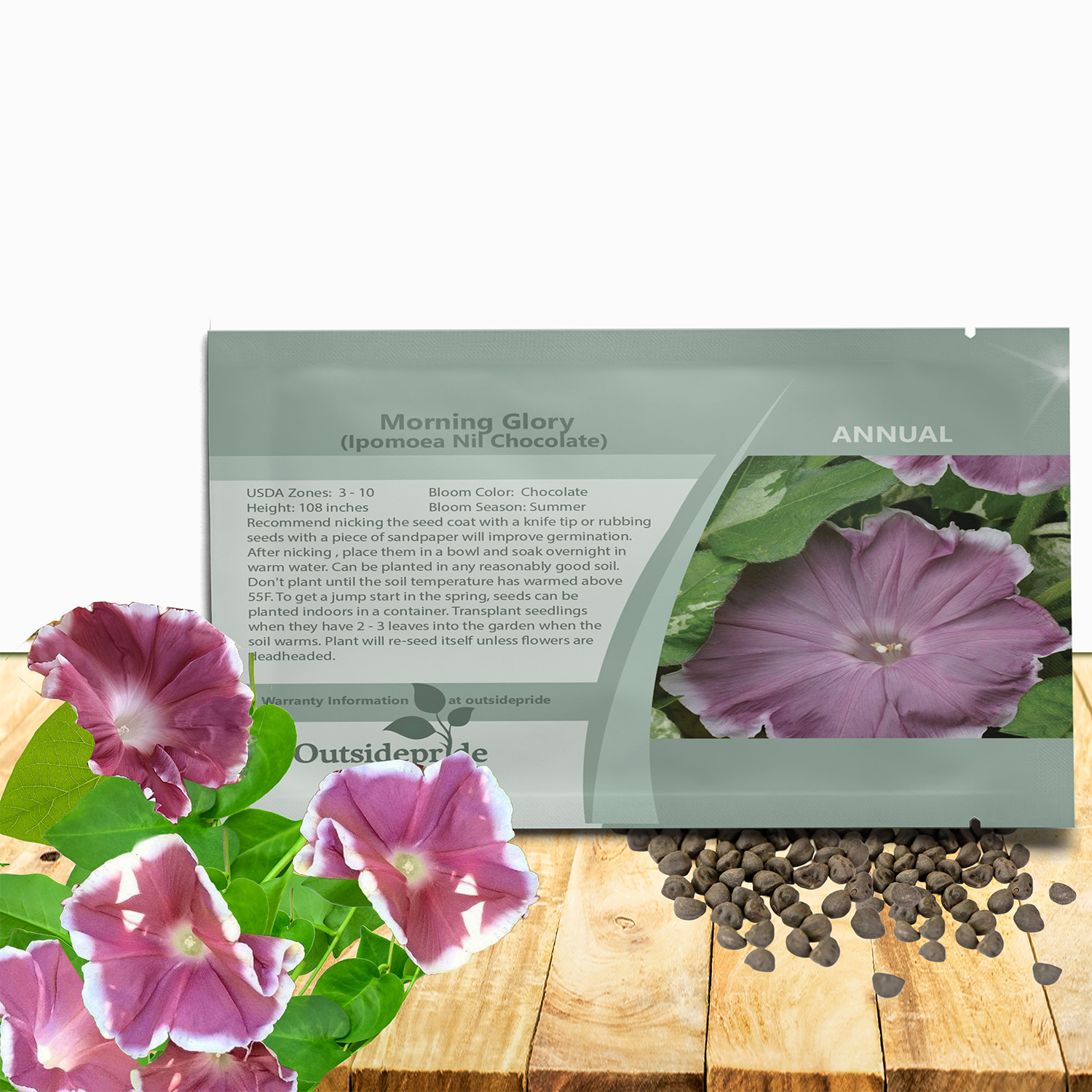 Morning Glory Chocolate Seed Packet
