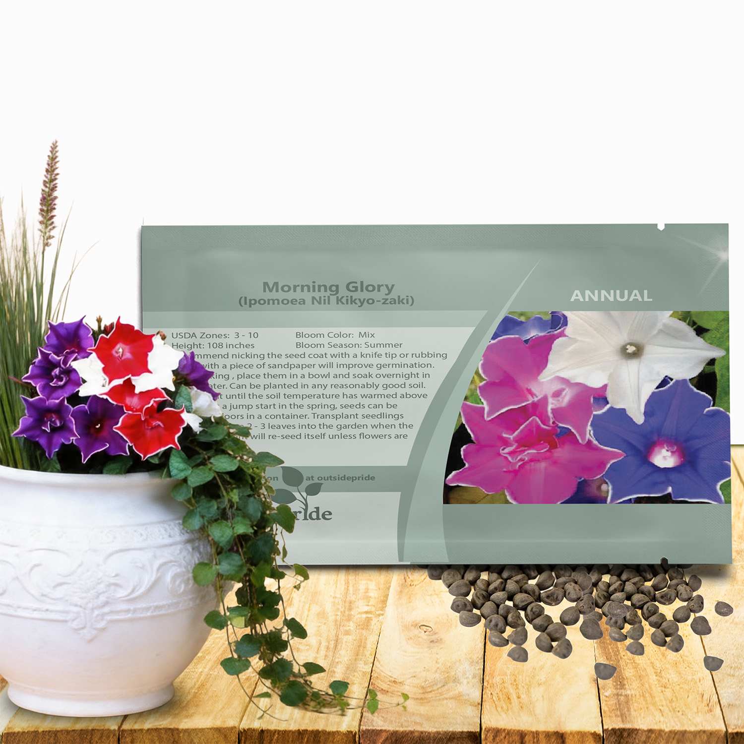 Morning Glory Kikyo-zaki Seed Packet