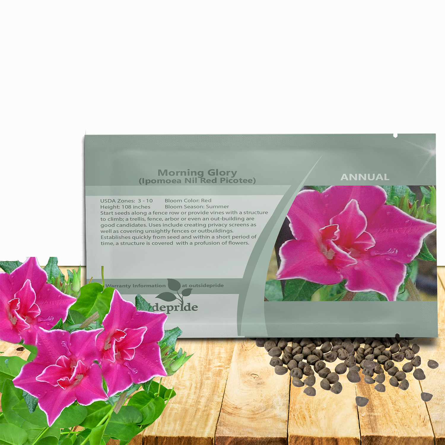 Morning Glory Red Picotee Seed Packet