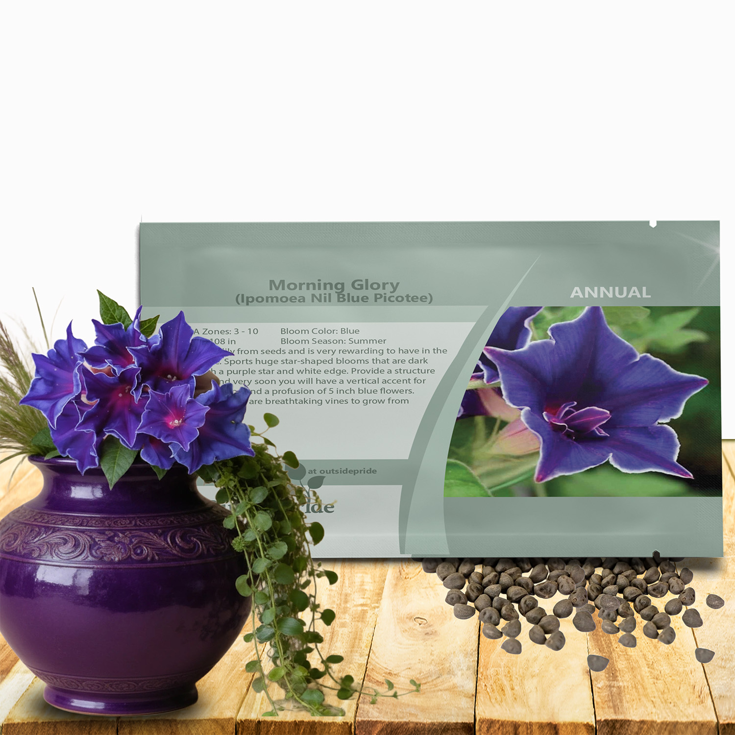 Japanese Morning Glory Blue Picotee Packet