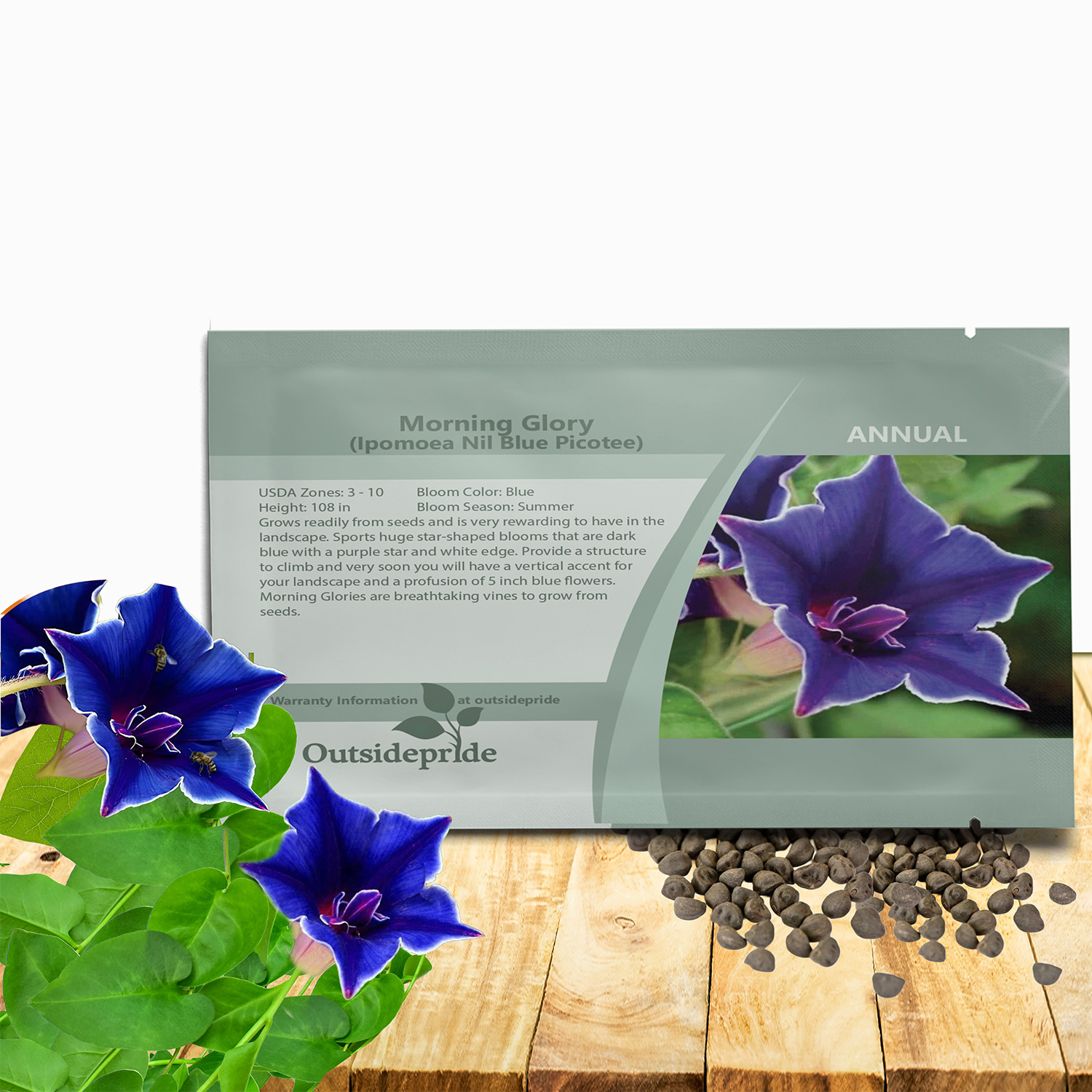 Japanese Morning Glory Blue Picotee Packet