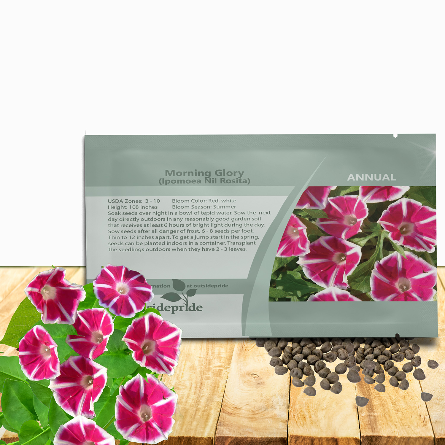 Morning Glory Rosita Seed Packet