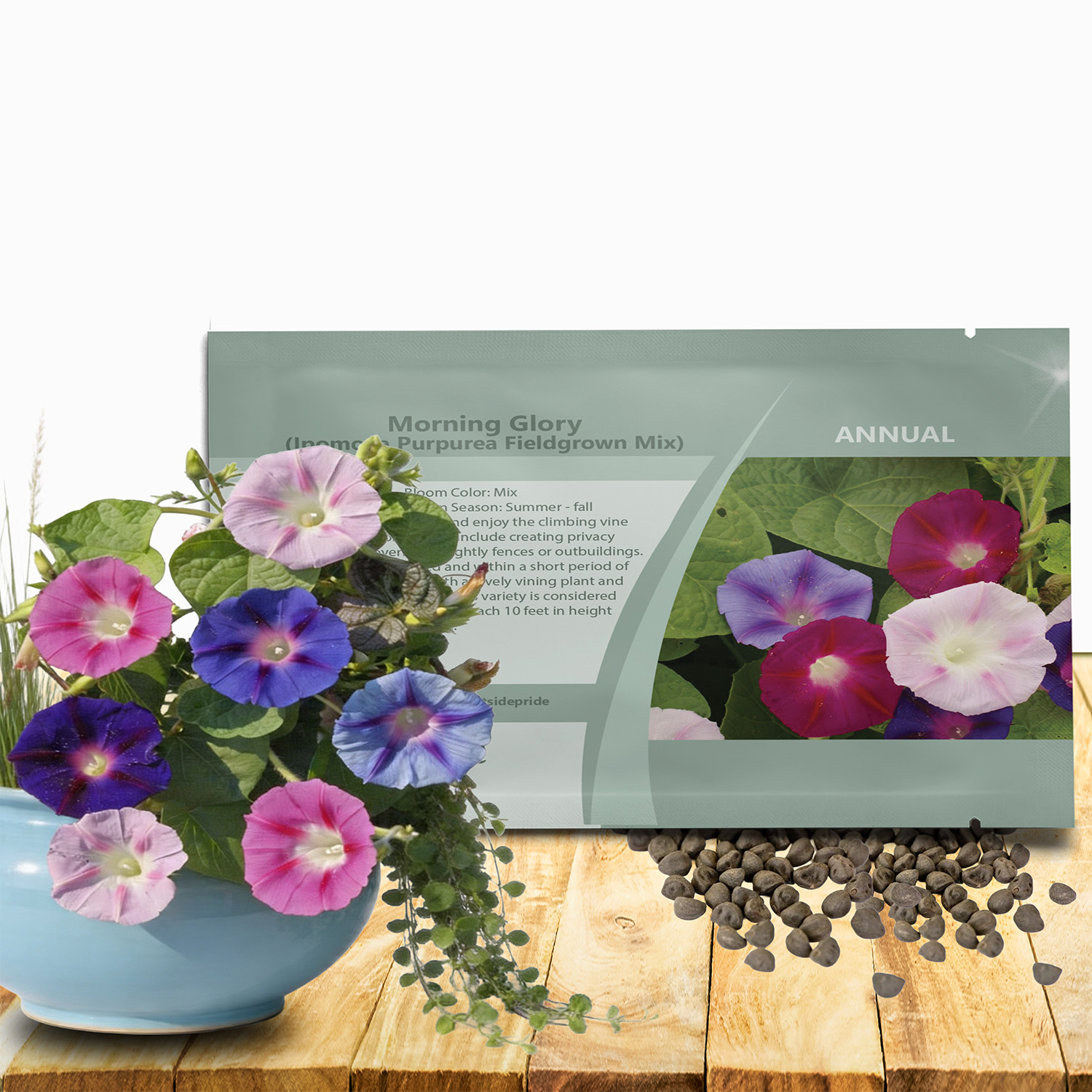 Morning Glory Fieldgrown Flower Seed Packet