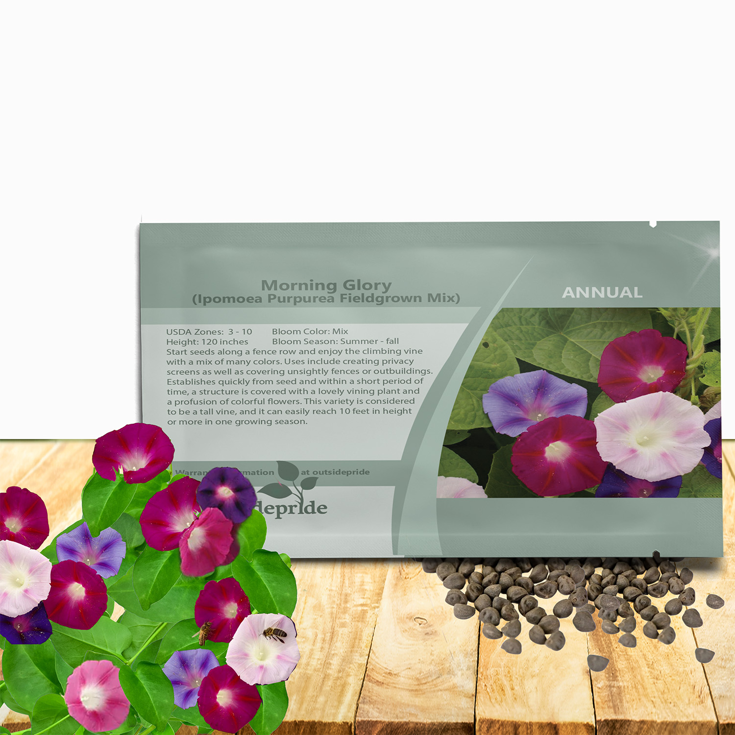 Morning Glory Fieldgrown Flower Seed Packet