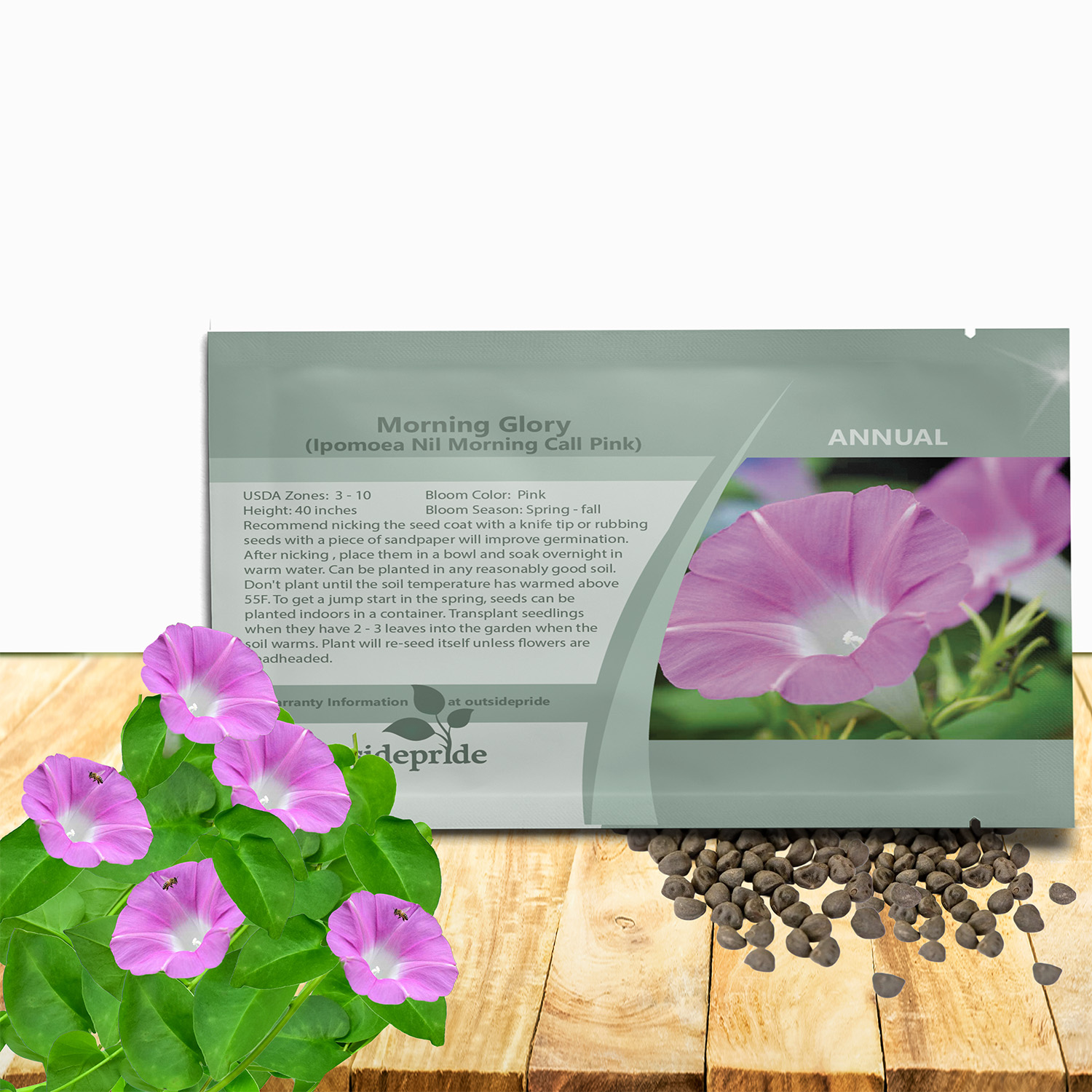 Annual Morning Glory Pink Seed Packets