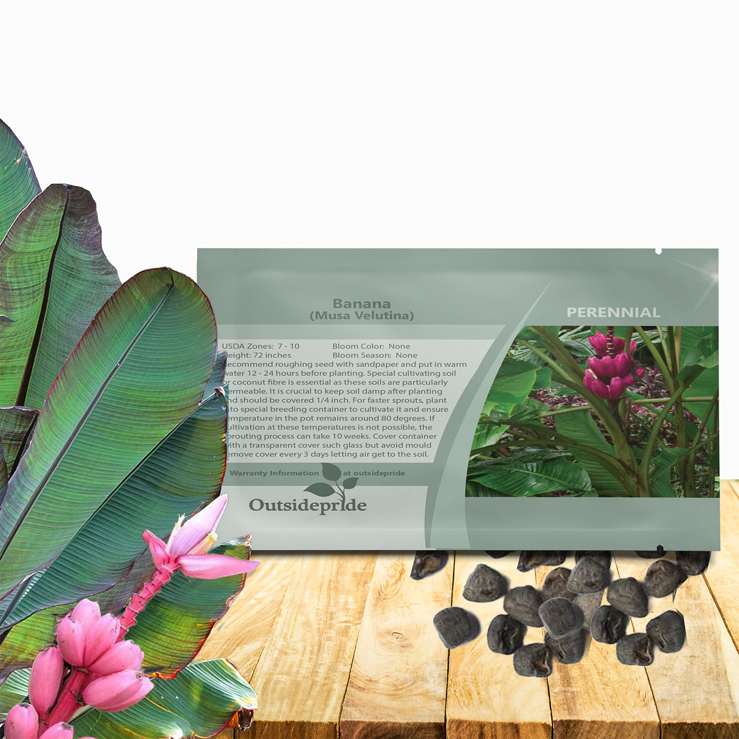 Banana Musa Velutina Tree Seed Packet For Planting