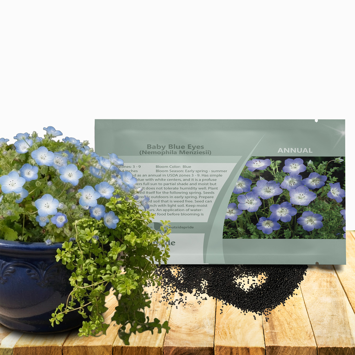 Baby Blue Eyes Seed Packet