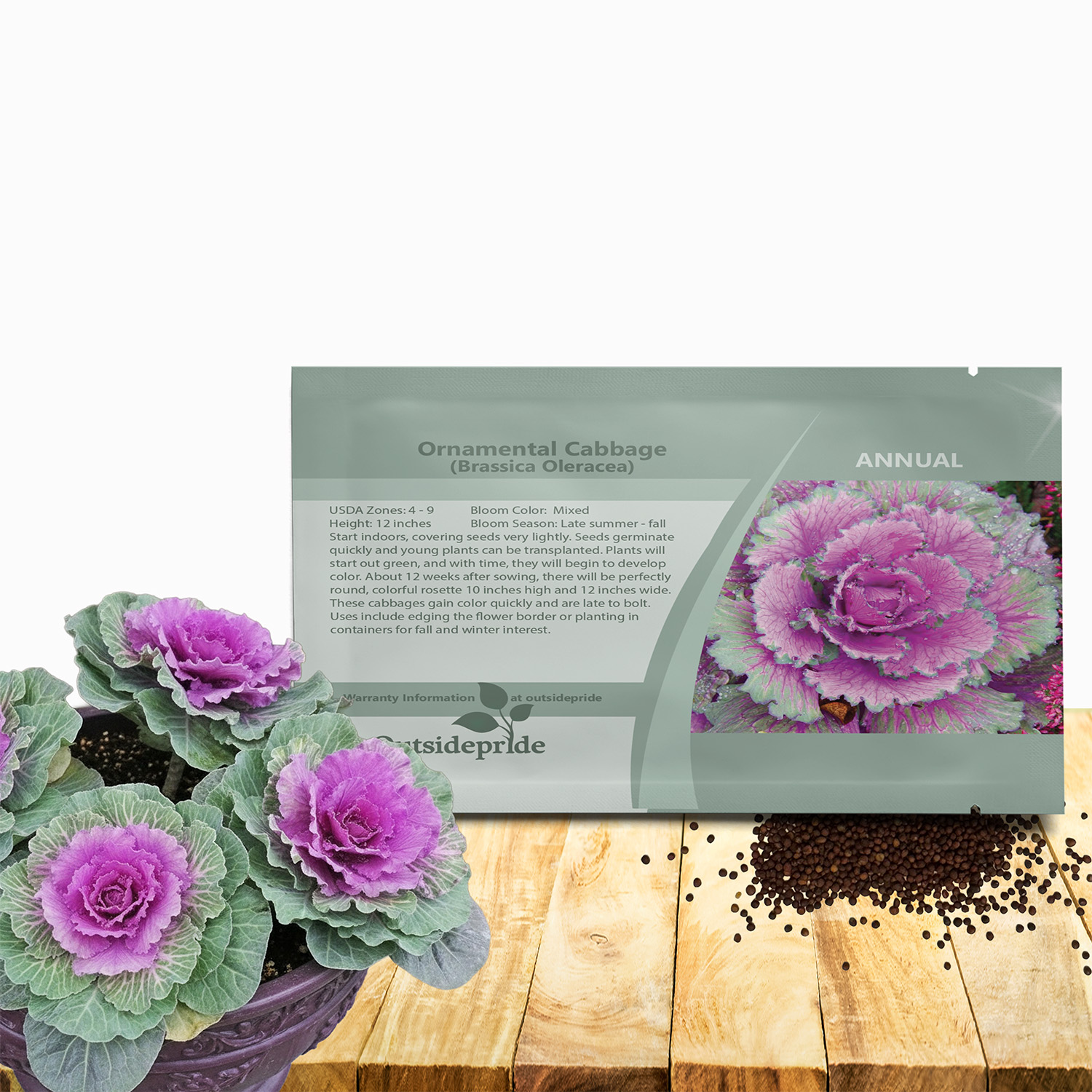 Ornamental Cabbage Seed Packet