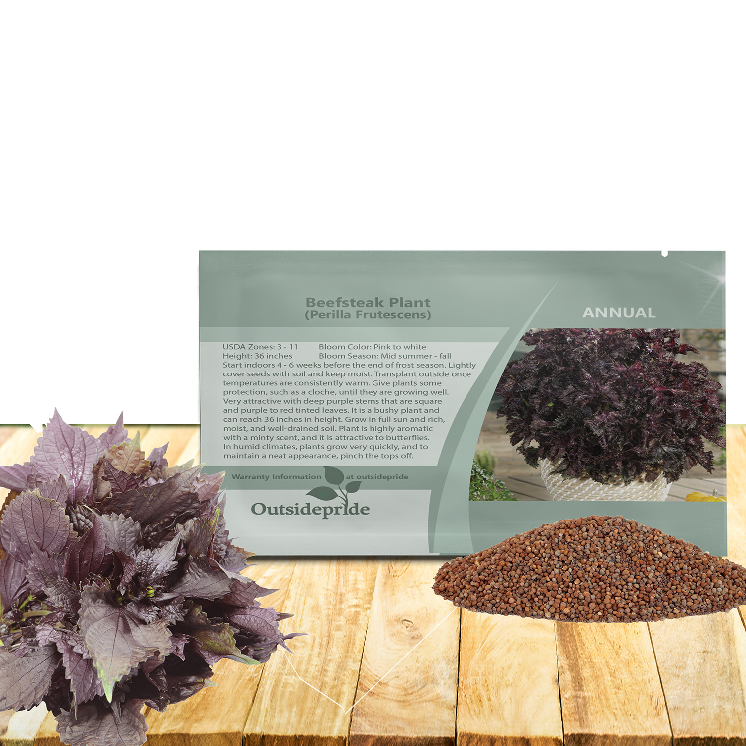 Perilla Herb Seed Packet For Planting