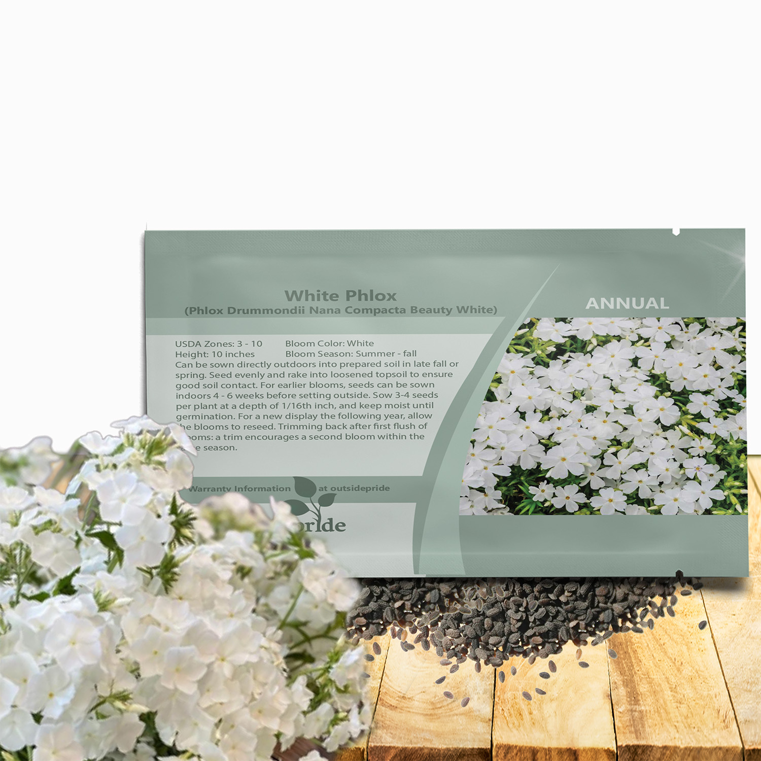 Drummondii Phlox White Seed Packet