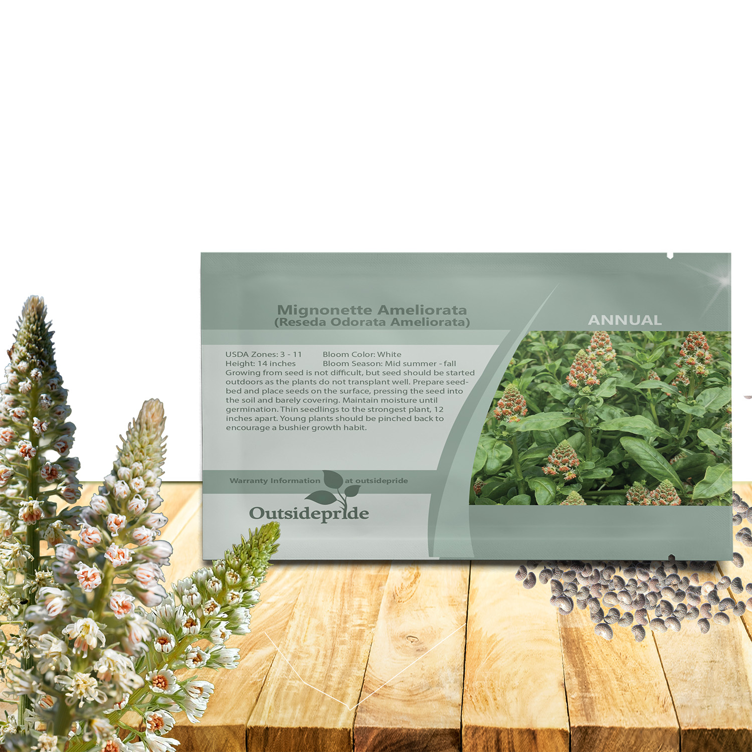 Mignonette Garden Flowers