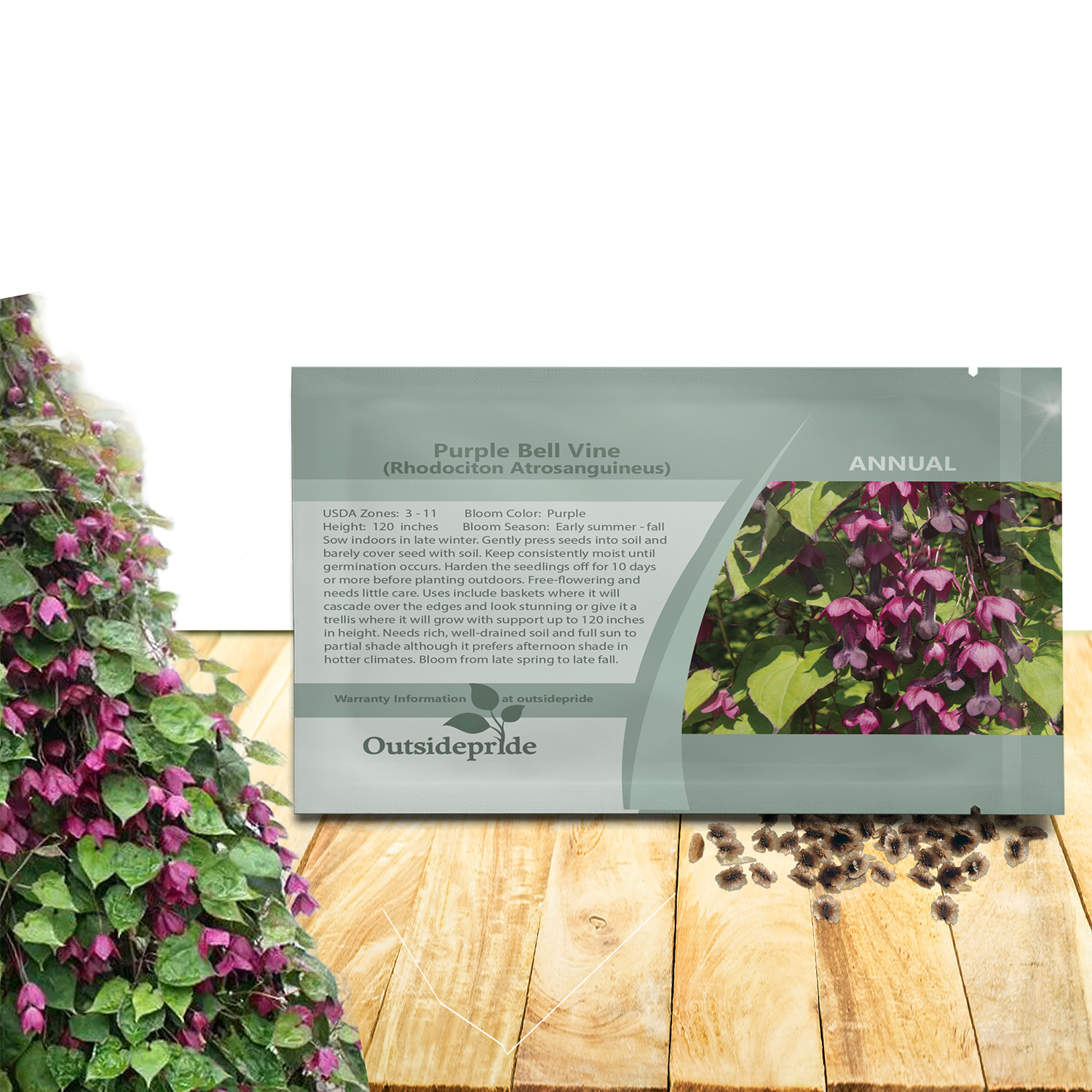 Rhodociton Atrosanguineus Vine Seeds