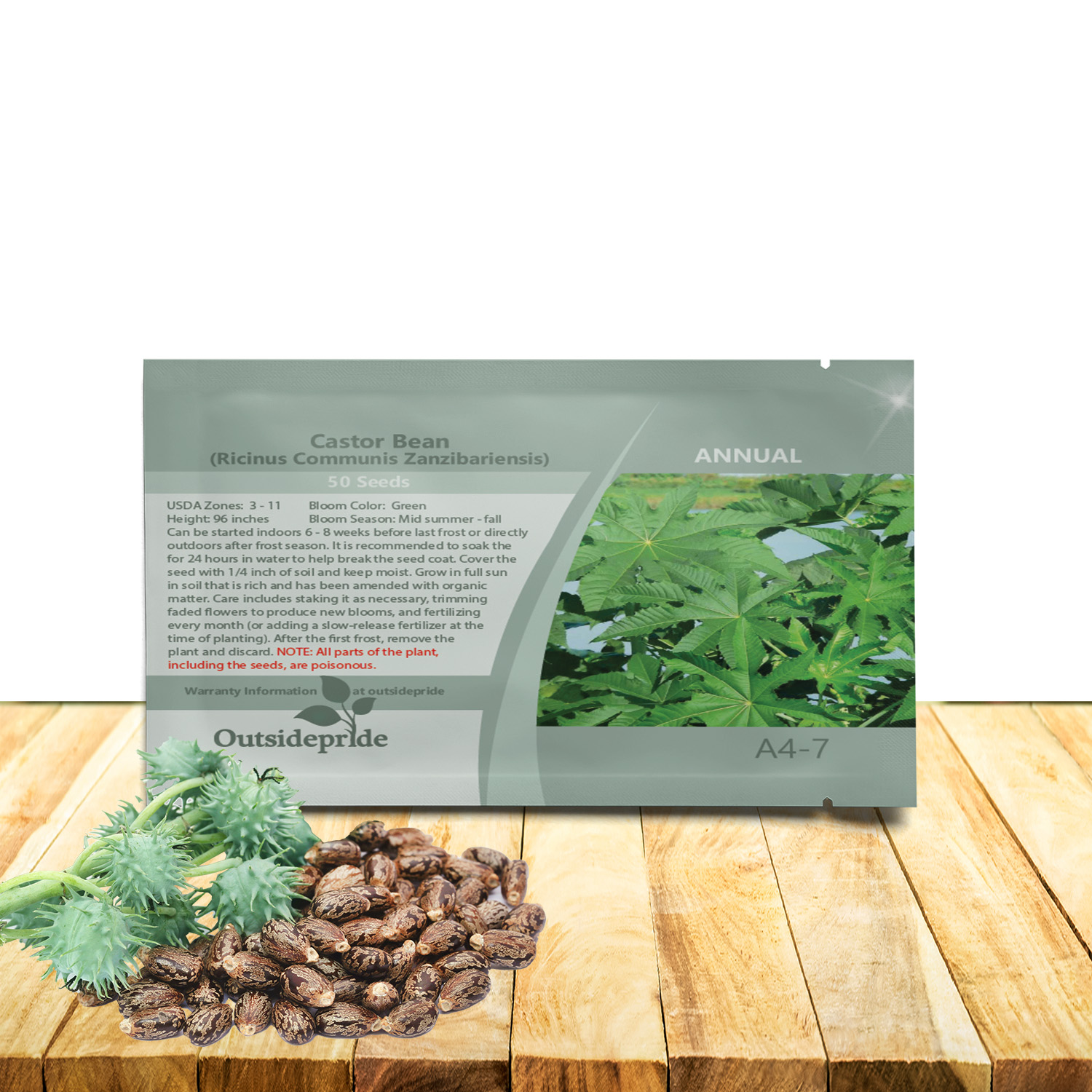 Castor Bean Zanzibariensis Seed Packet