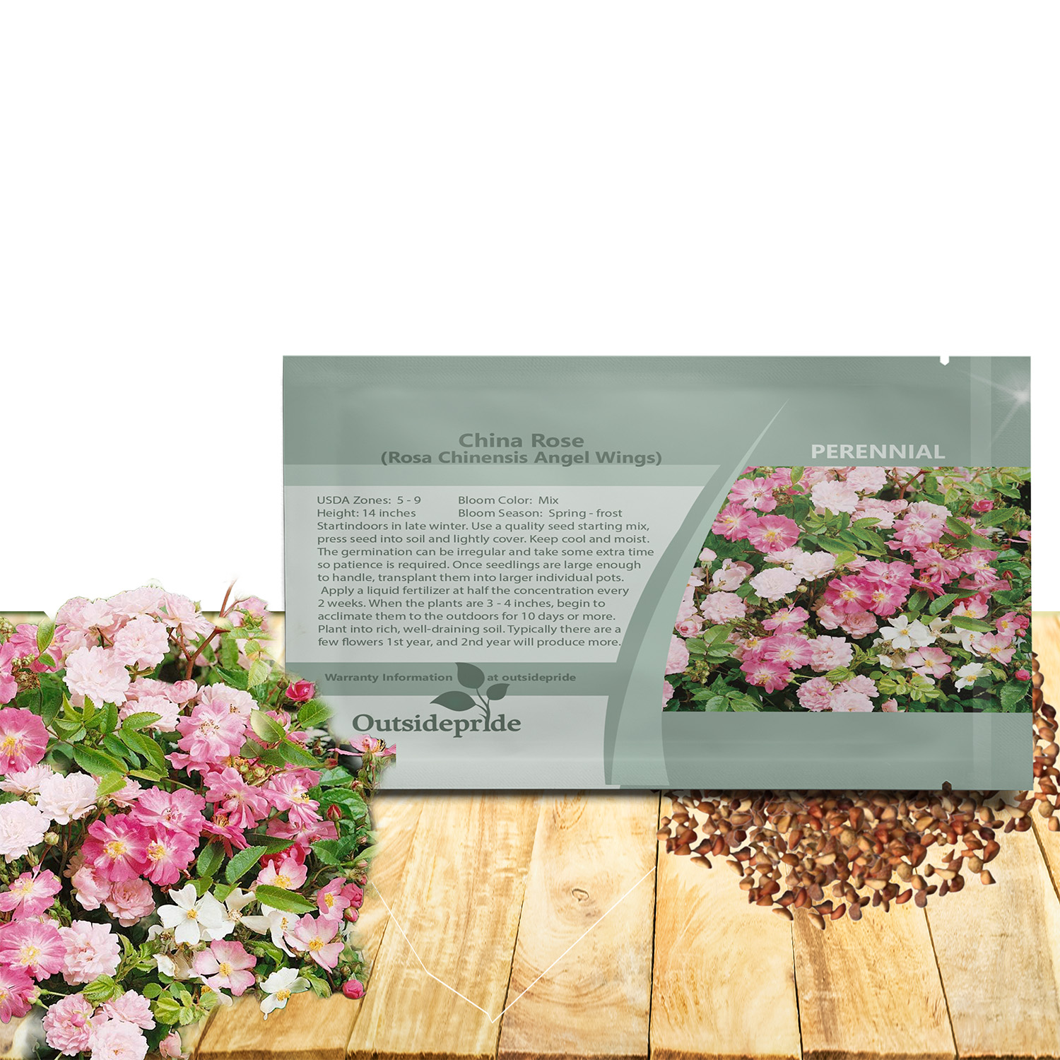 Rosa Chinensis Flower Seed Packet For Planting