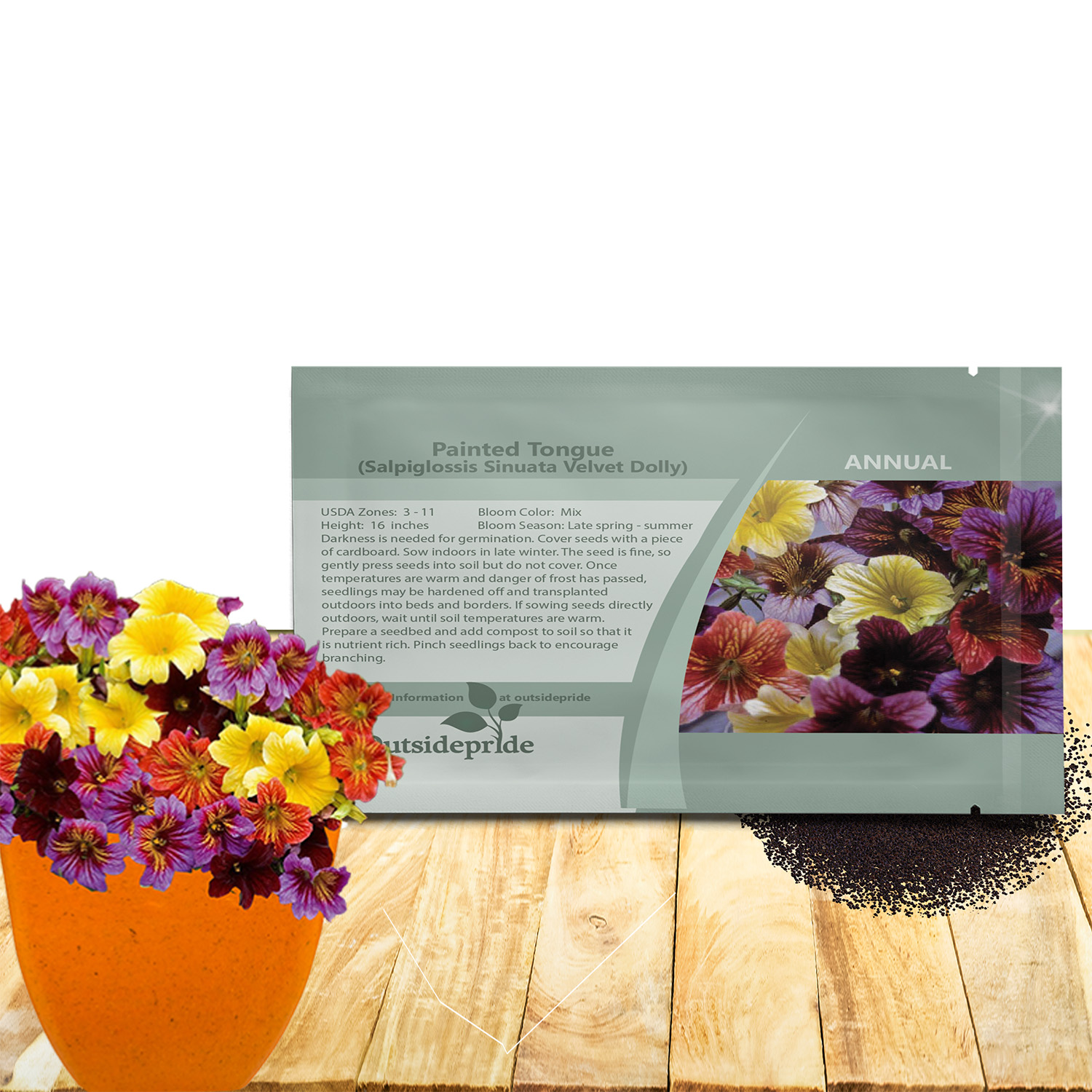 Salpiglossis Flower Seeds For Planting