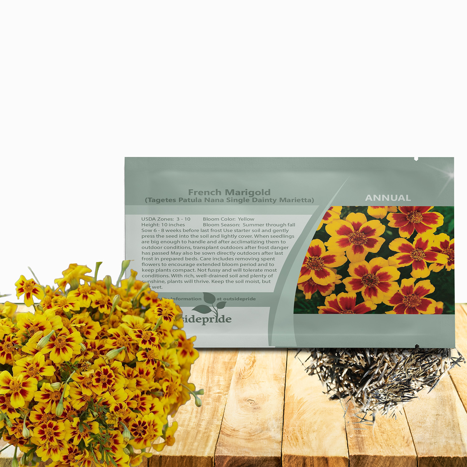 Marigold Single Dainty Flower Seed Packet