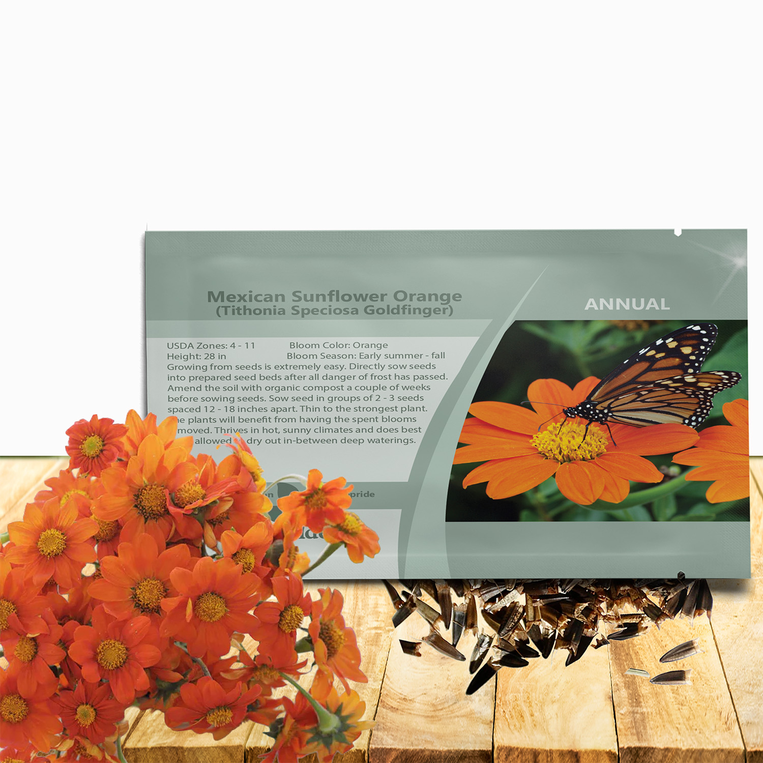 Mexican Sunflower Orange Seed Packet