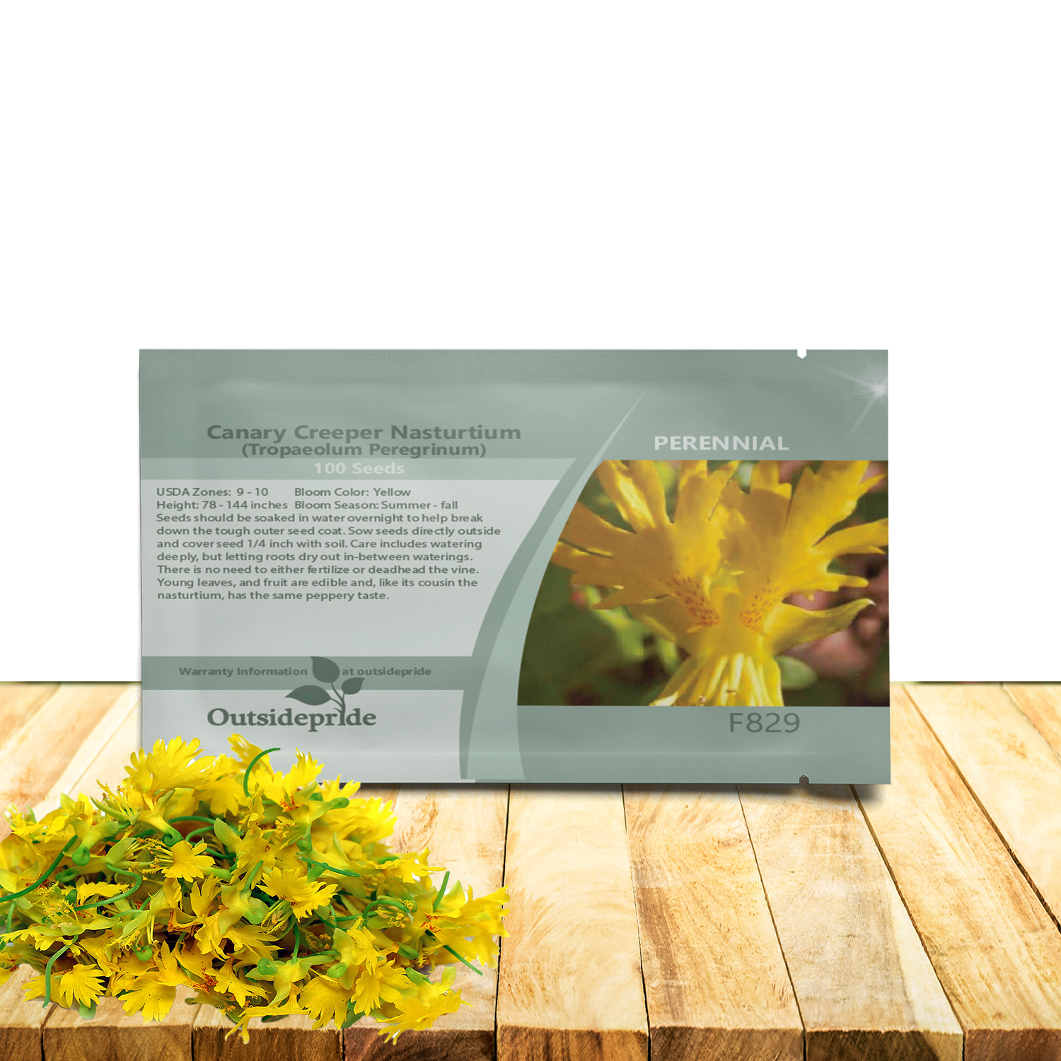 Canary Creeper Climbing Seed Packet