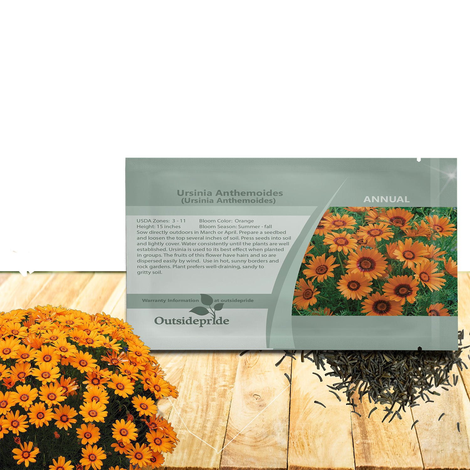 Ursinia Flower Seed Packet For Planting
