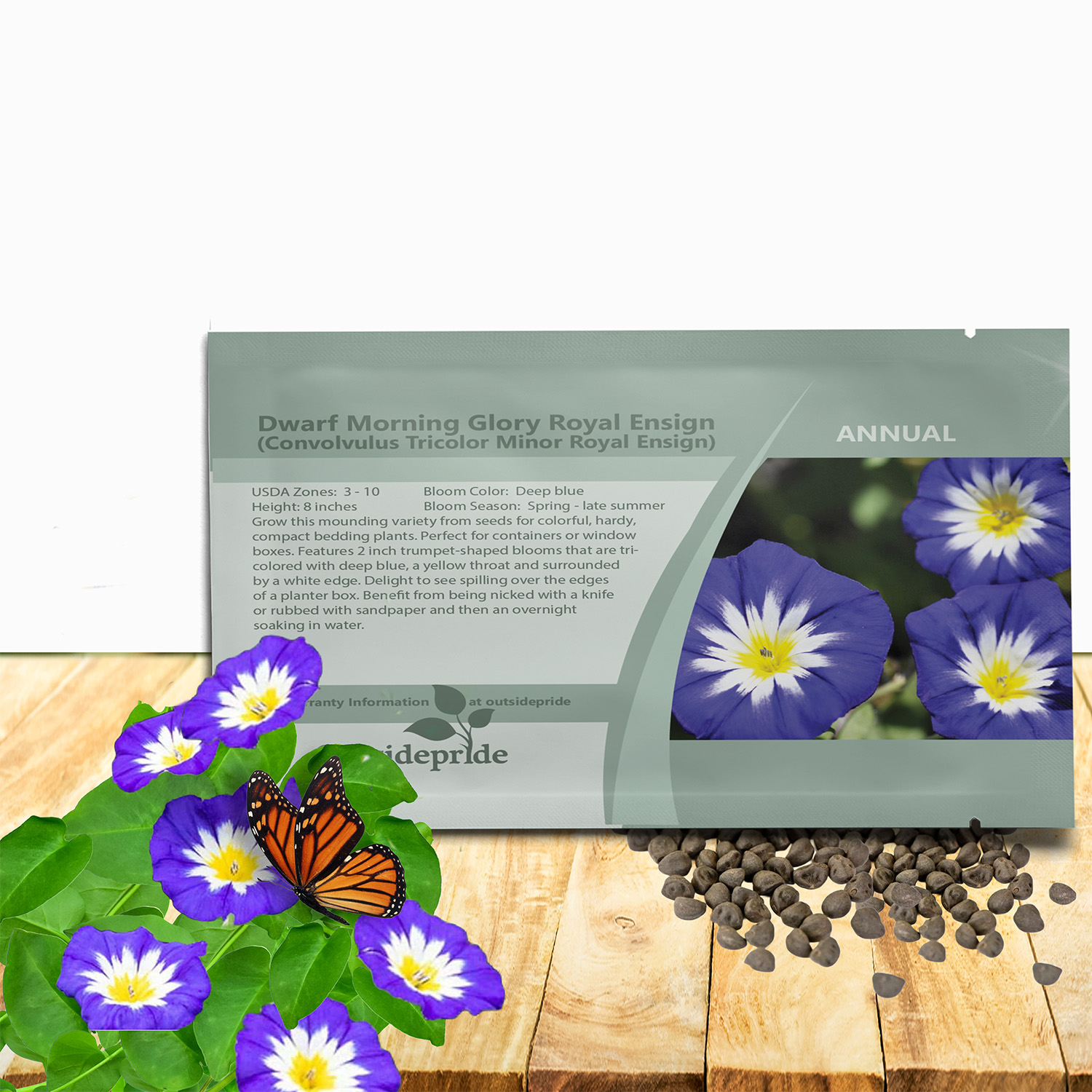 Royal Ensign Morning Glory Seed Packet