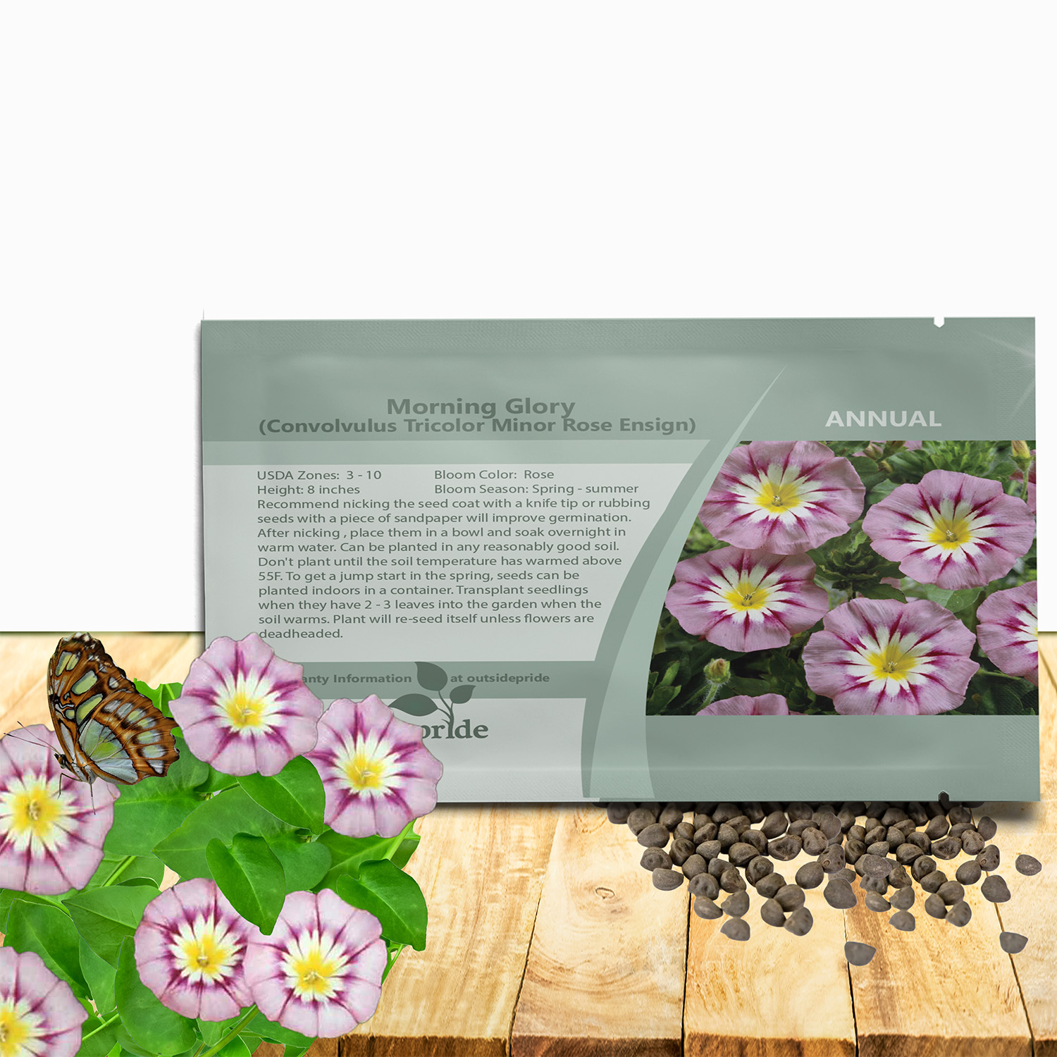 Dwarf Rose Ensign Morning Glory Seed Packet