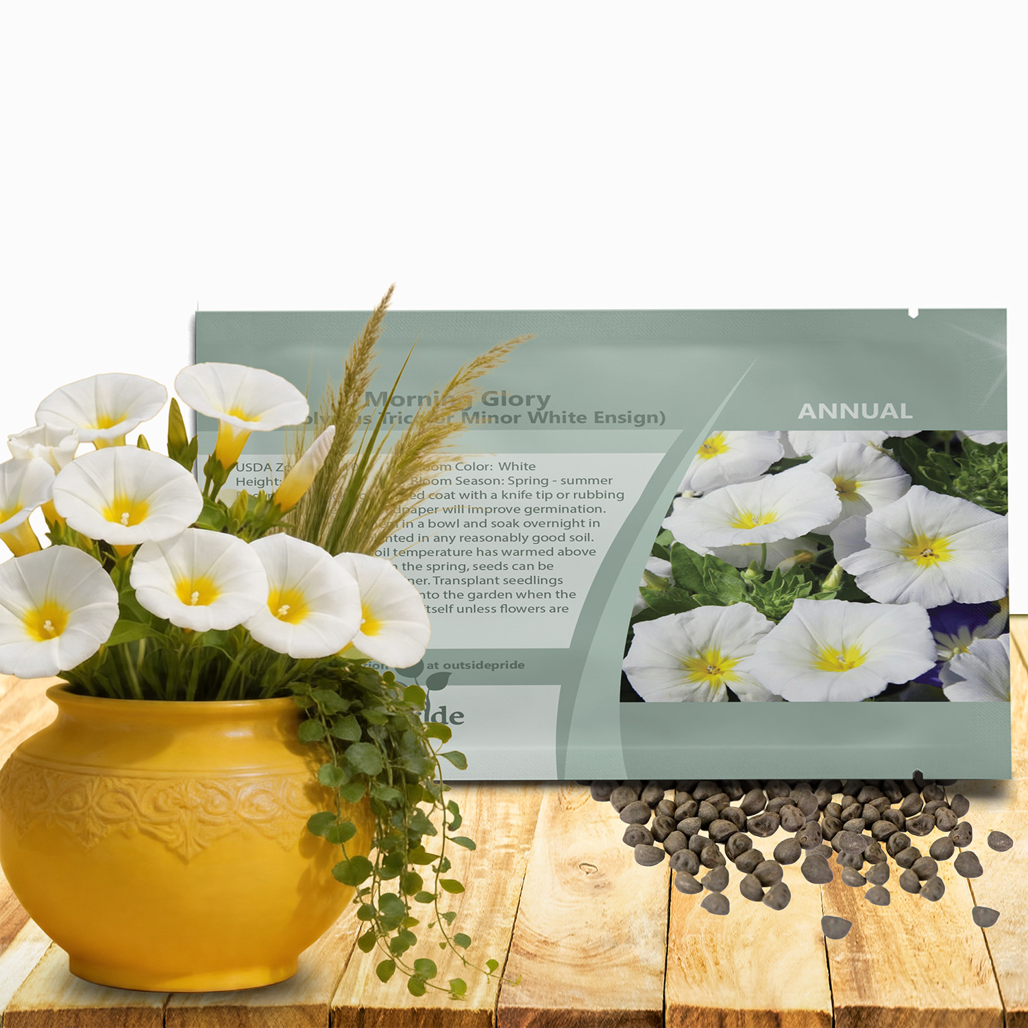 White Ensign Morning Glory Seed Packet