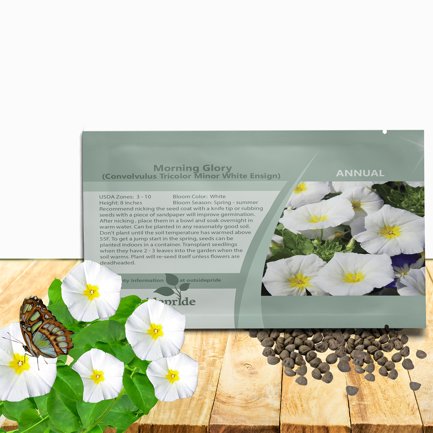 White Ensign Morning Glory Seed Packet