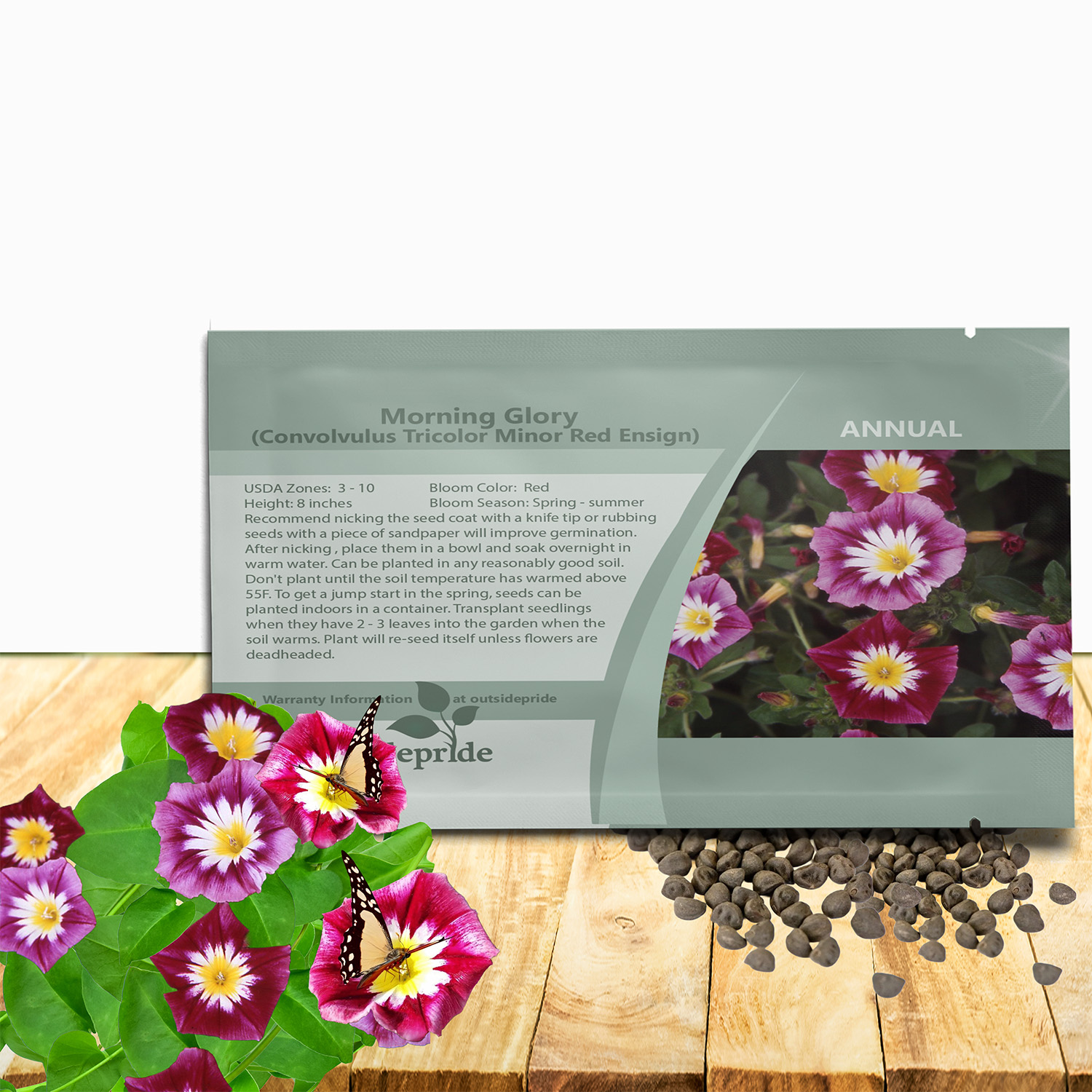 Red Ensign Morning Glory Seed Packet