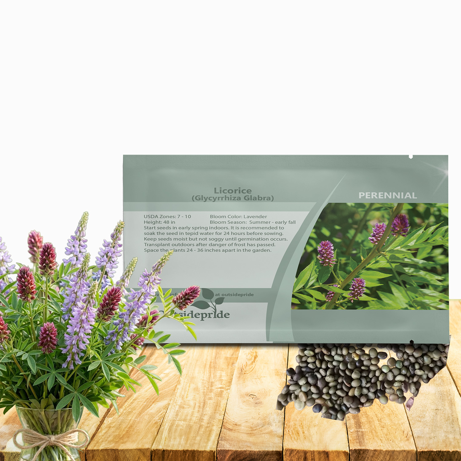 Spanish Licorice Seed Packet For Planting