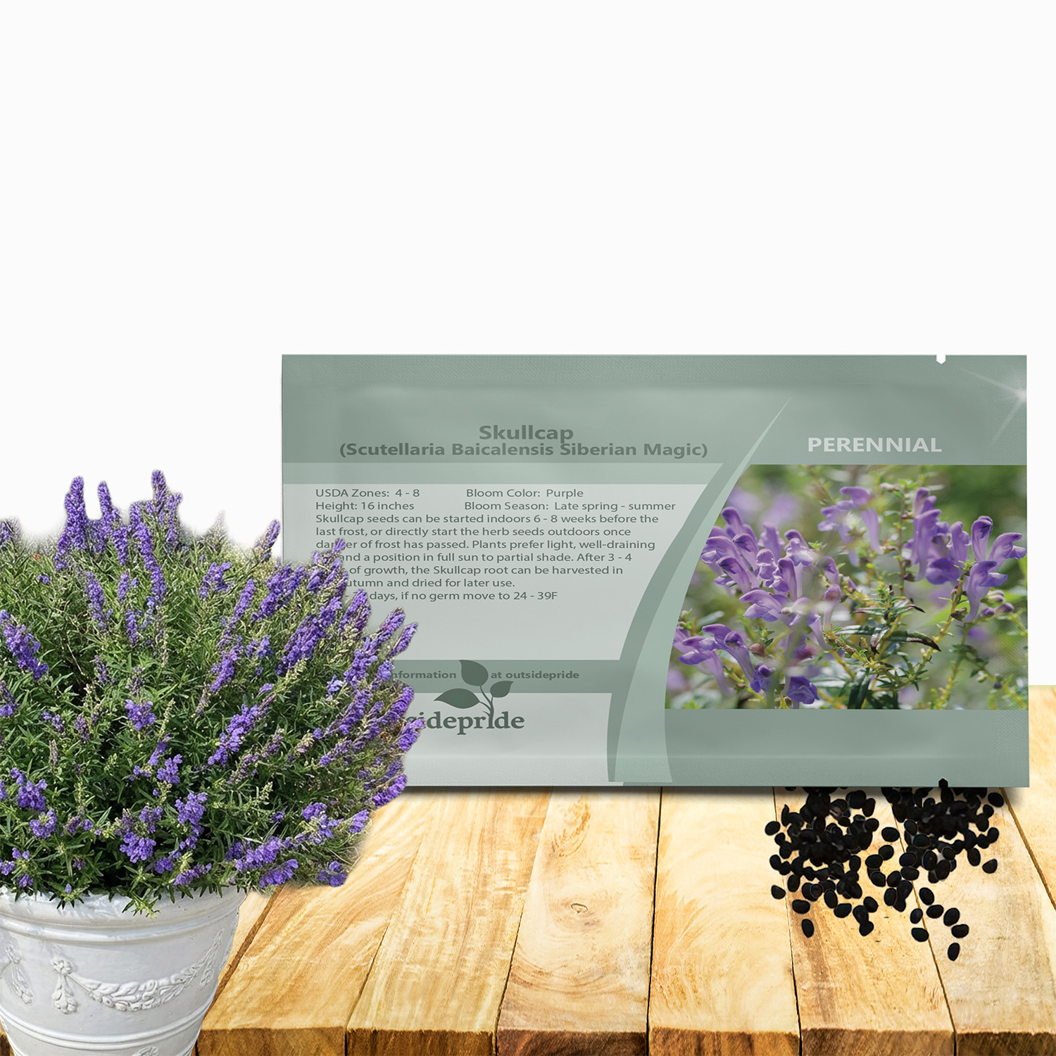 Perennial Baikal Skullcap Seed Packet