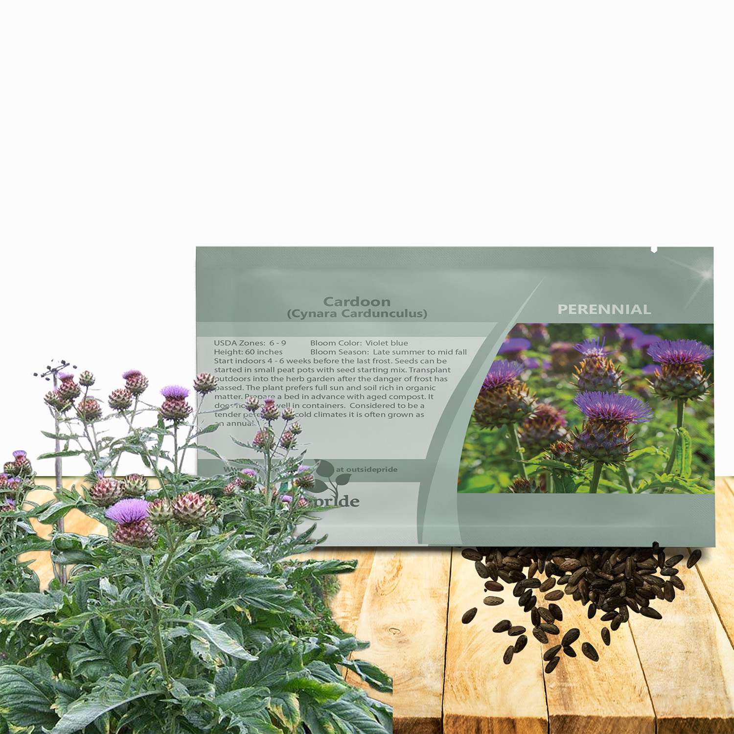 Cardoon Artichoke Thistle Seed Packet