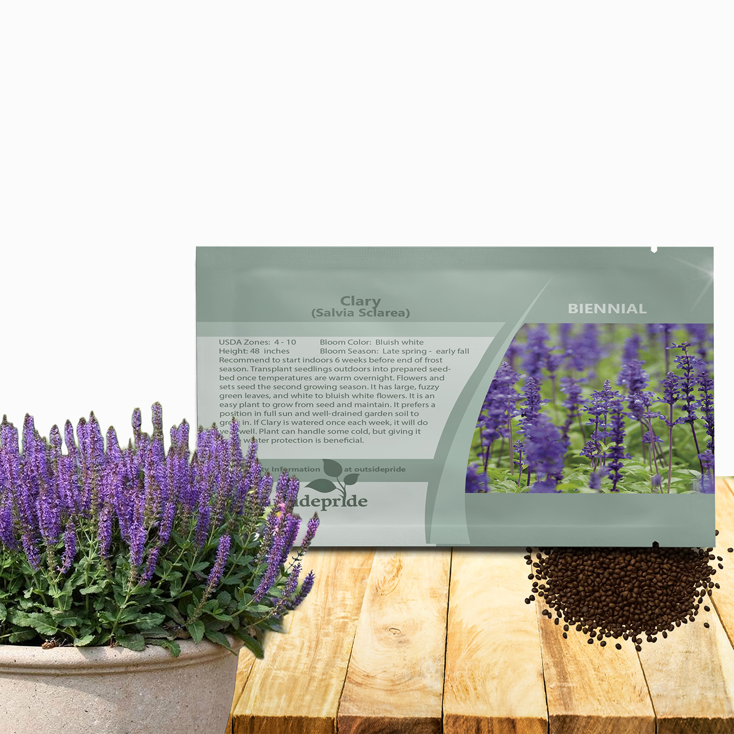 Clary Herb Seed Packet