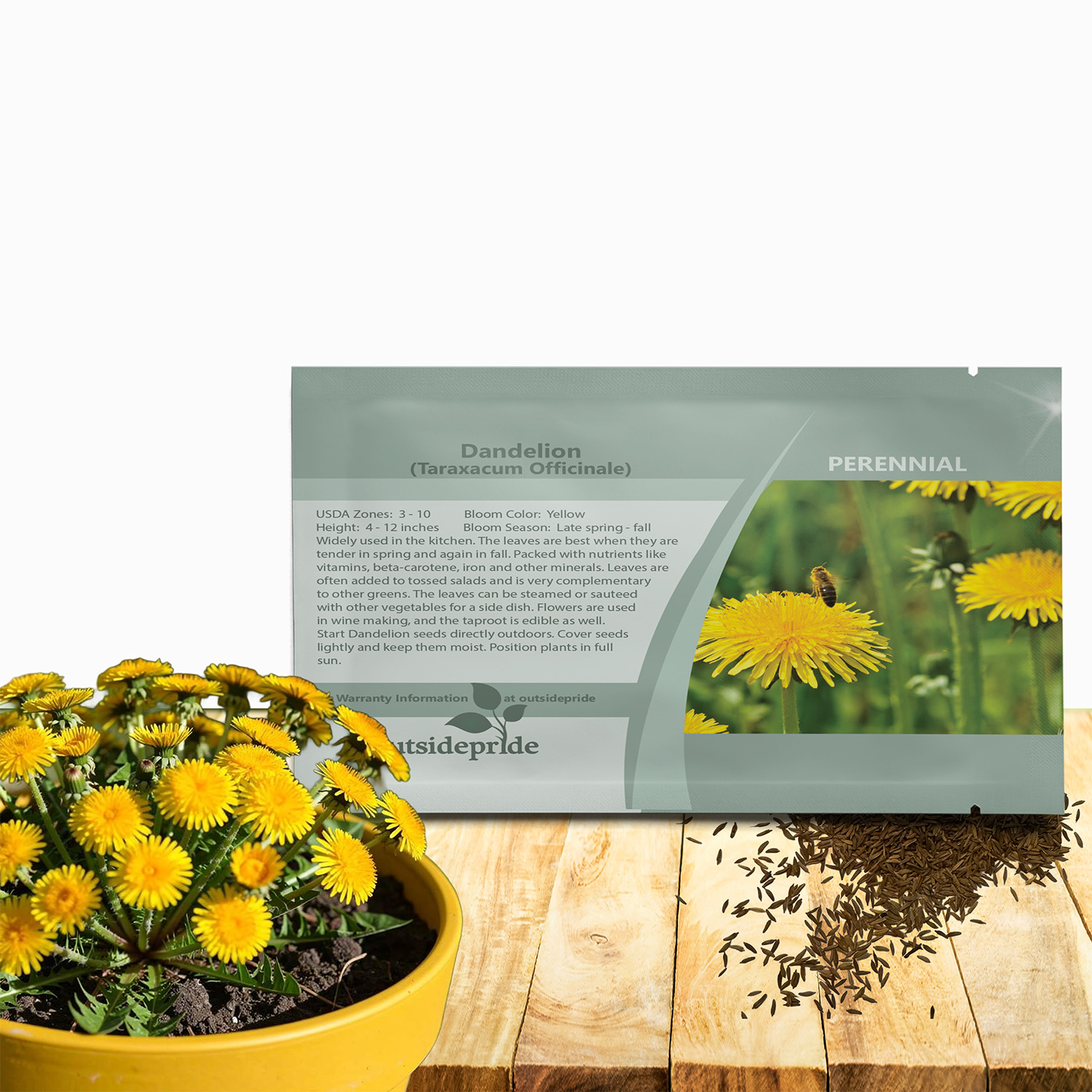 Dandelion Seed Packets