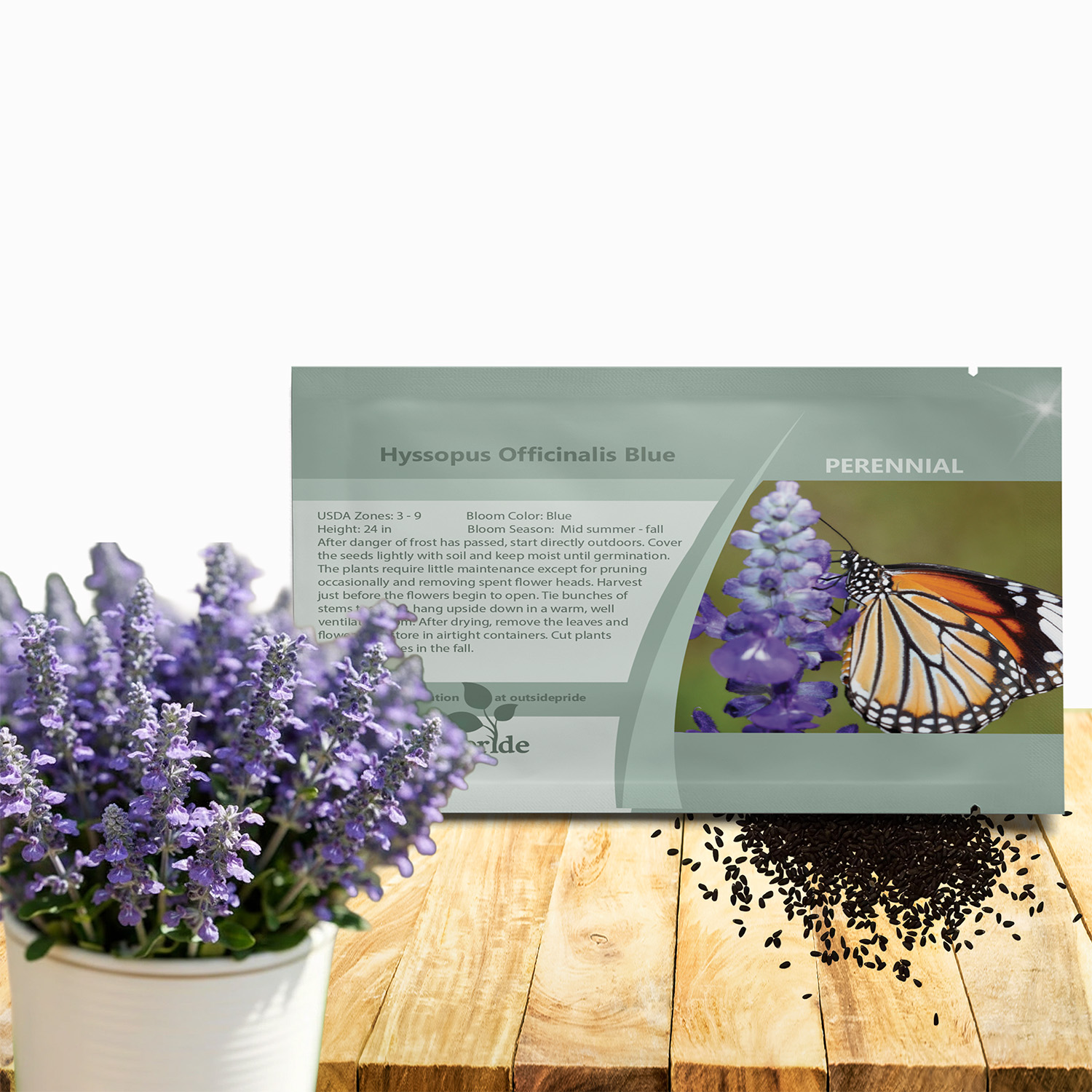 Hyssop Blue Herb Seed Packet