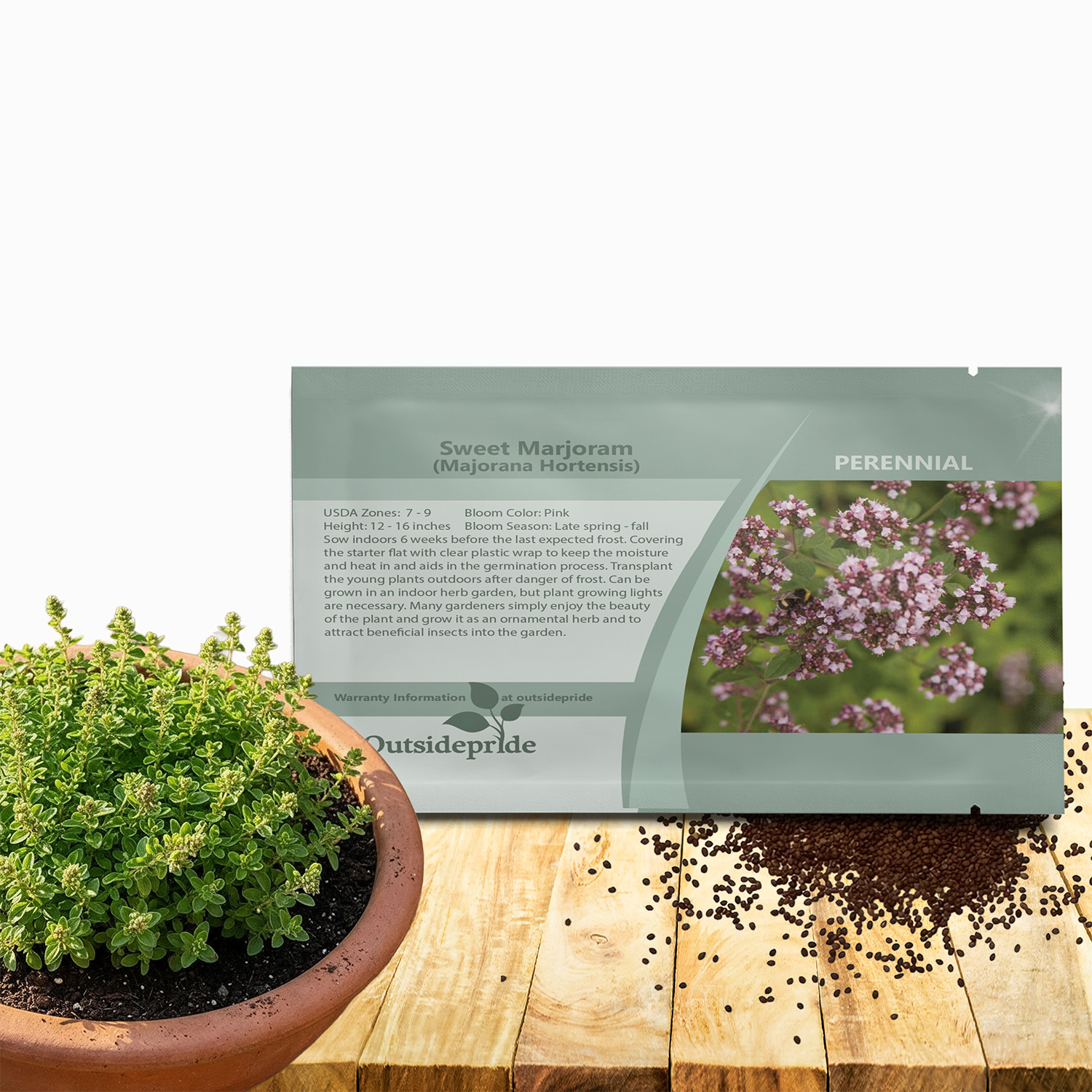 Marjoram Herb Seed Packet For Planting