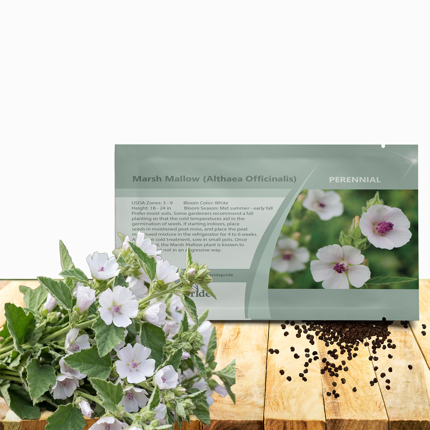 Marsh Mallow Seed Packet For Planting