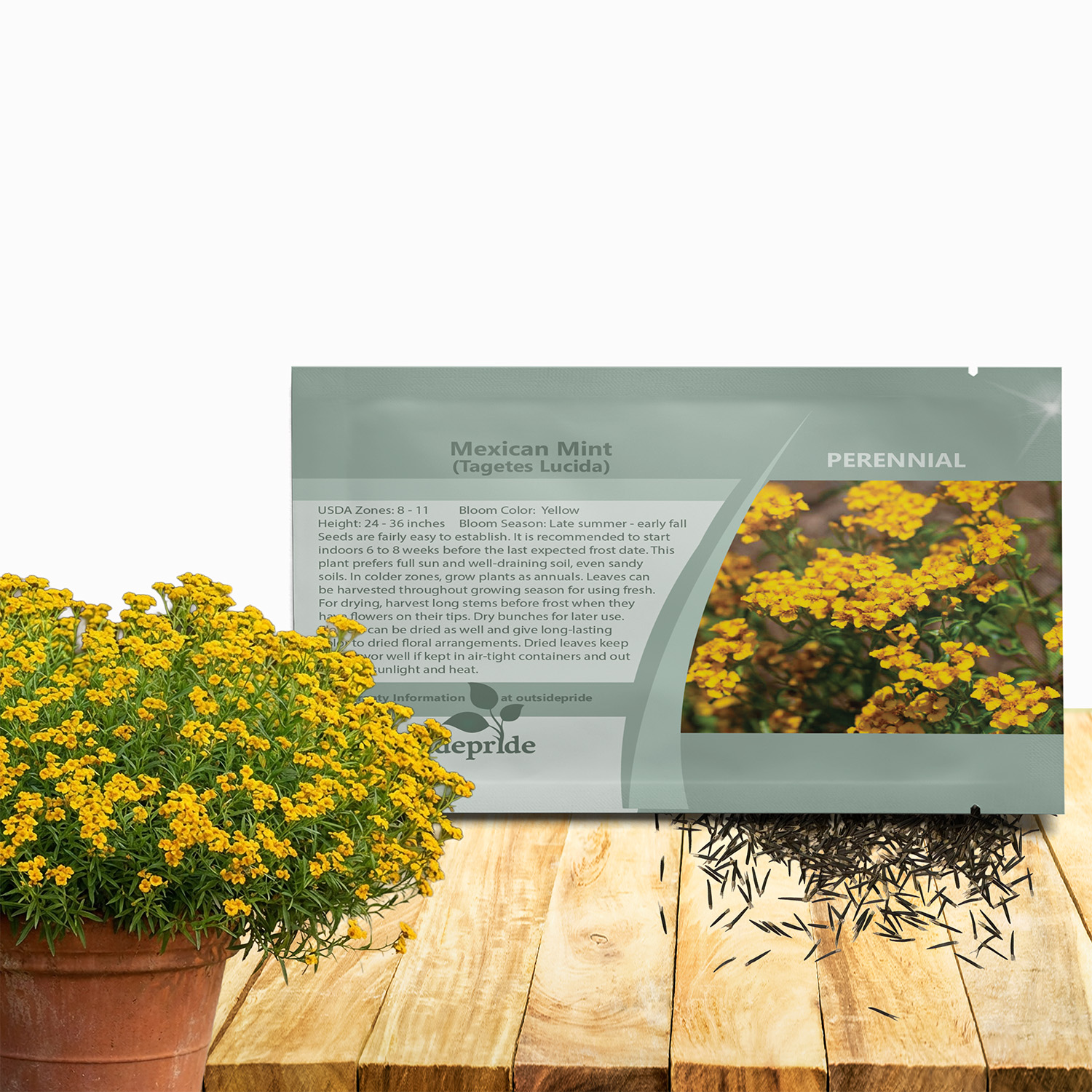 Tagetes Lucida Mexican Mint Seed Packet