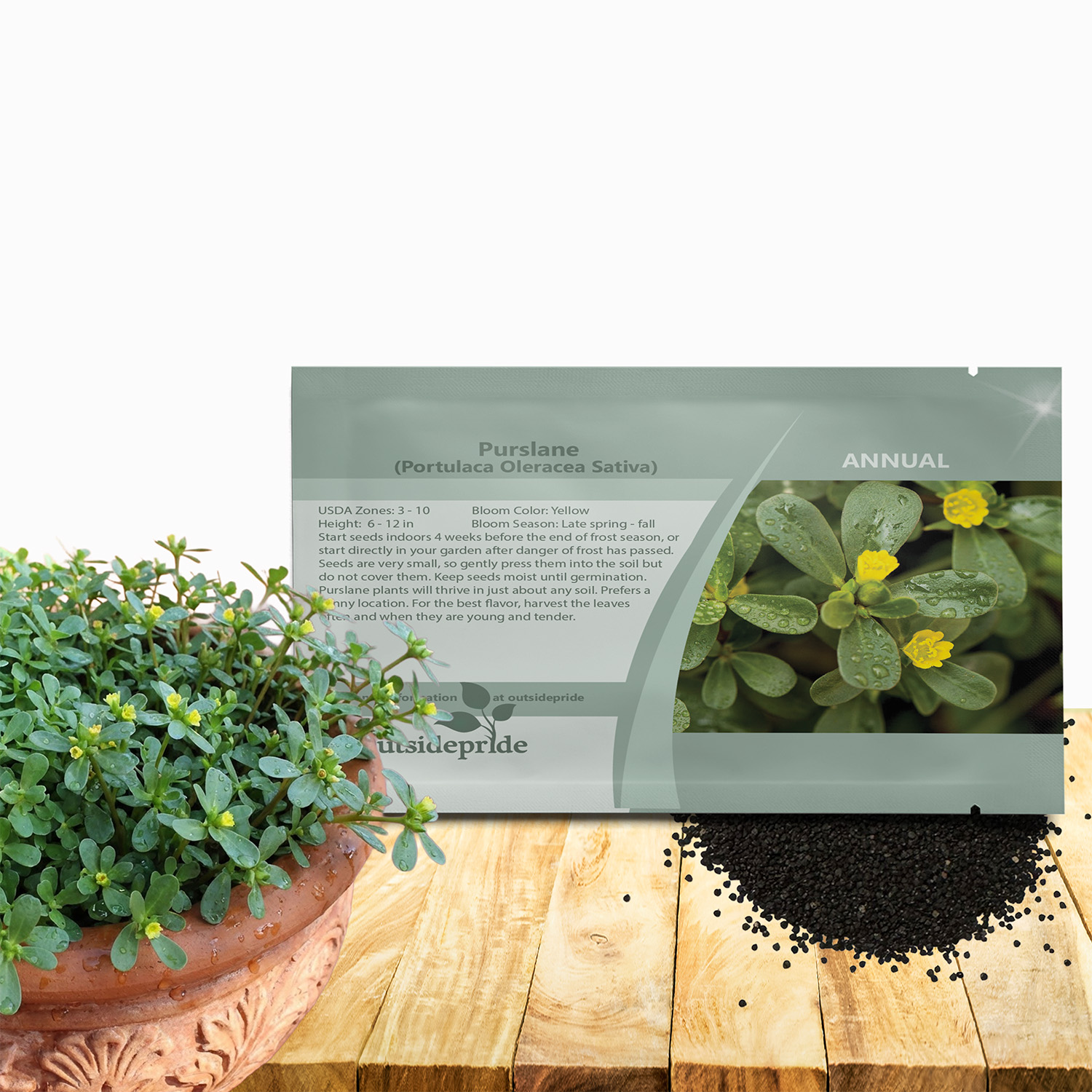 Purslane Herb Seed Packets